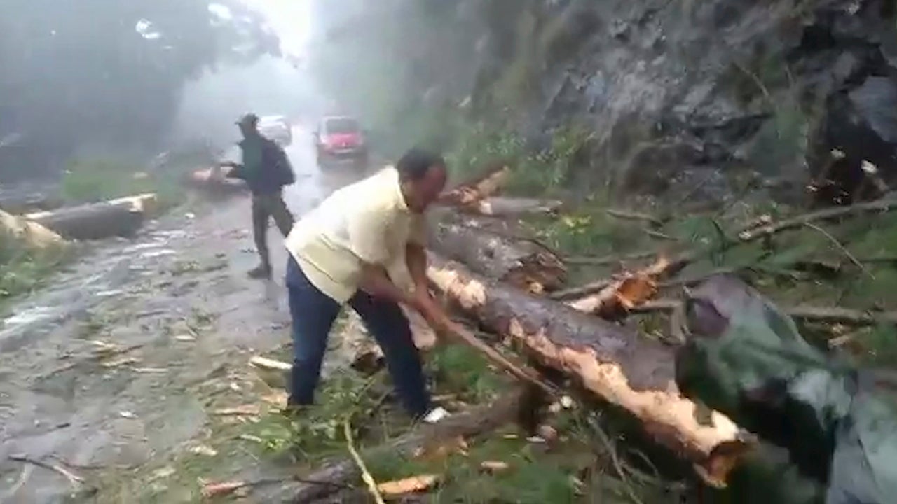 In this grab made from video provided by KK Productions, a man chops branches from a tree to clear a road after a cyclone struck Cuddalore, in the southern Indian state of Tamil Nadu, Friday, Nov. 16, 2018. A cyclone hit the coast of southern India on Friday, killing more than 10 people and damaging homes after more than 80,000 residents were evacuated. (KK Production via AP)