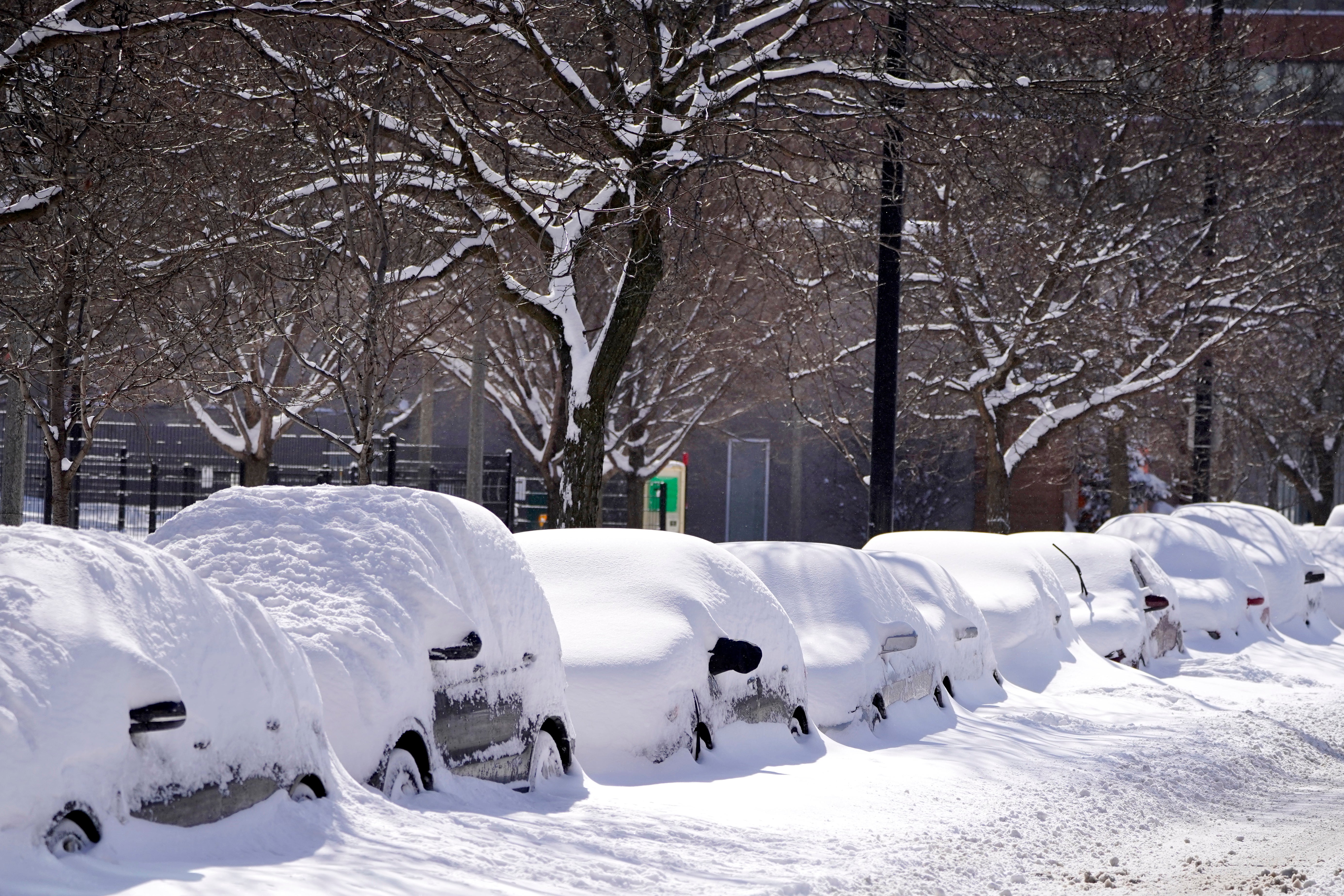 Car parked for several days Tuesday, Feb. 16, 2021, are covered in cumulative snow in Chicago, the morning after a snowstorm dumped up to 18 inches in the greater Chicago area. (AP Photo/Charles Rex Arbogast)