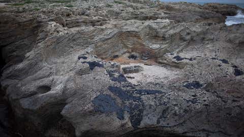 Tar is stuck on rocks after an oil spill in the Mediterranean Sea, at Tel-Dor Nature Reserve, in Nahsholim, Israel, Tuesday, Feb. 23, 2021. A disastrous oil spill has blackened most of the country's shoreline and reached beaches of neighboring Lebanon. The cleanup is expected to take months. (AP Photo/Ariel Schalit)