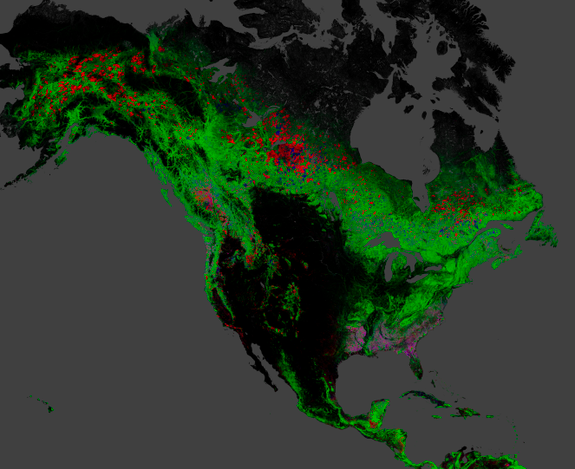 Deforestation Map