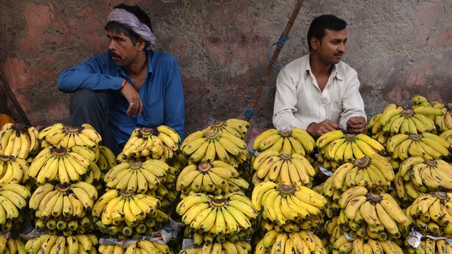 Worldwide Banana Crisis Sparked by Disease The Weather Channel