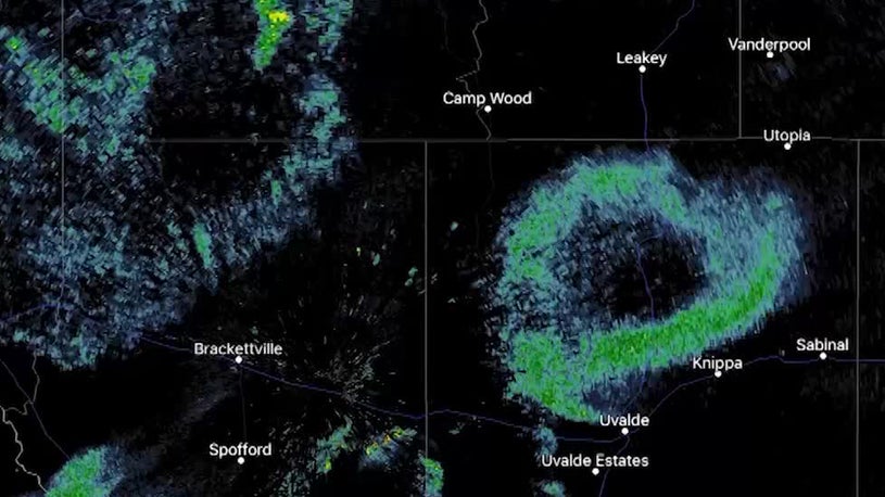 Bats Spotted On Radar Leaving Their Caves As Flying Eagle