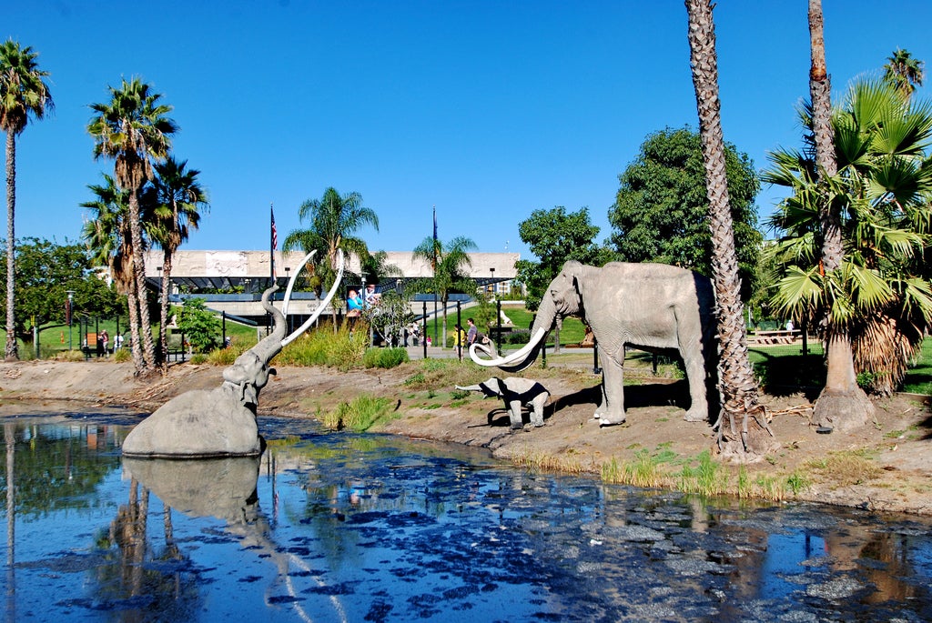 California Scientists Dig For Fossils At La Brea Tar Pits In LA A 