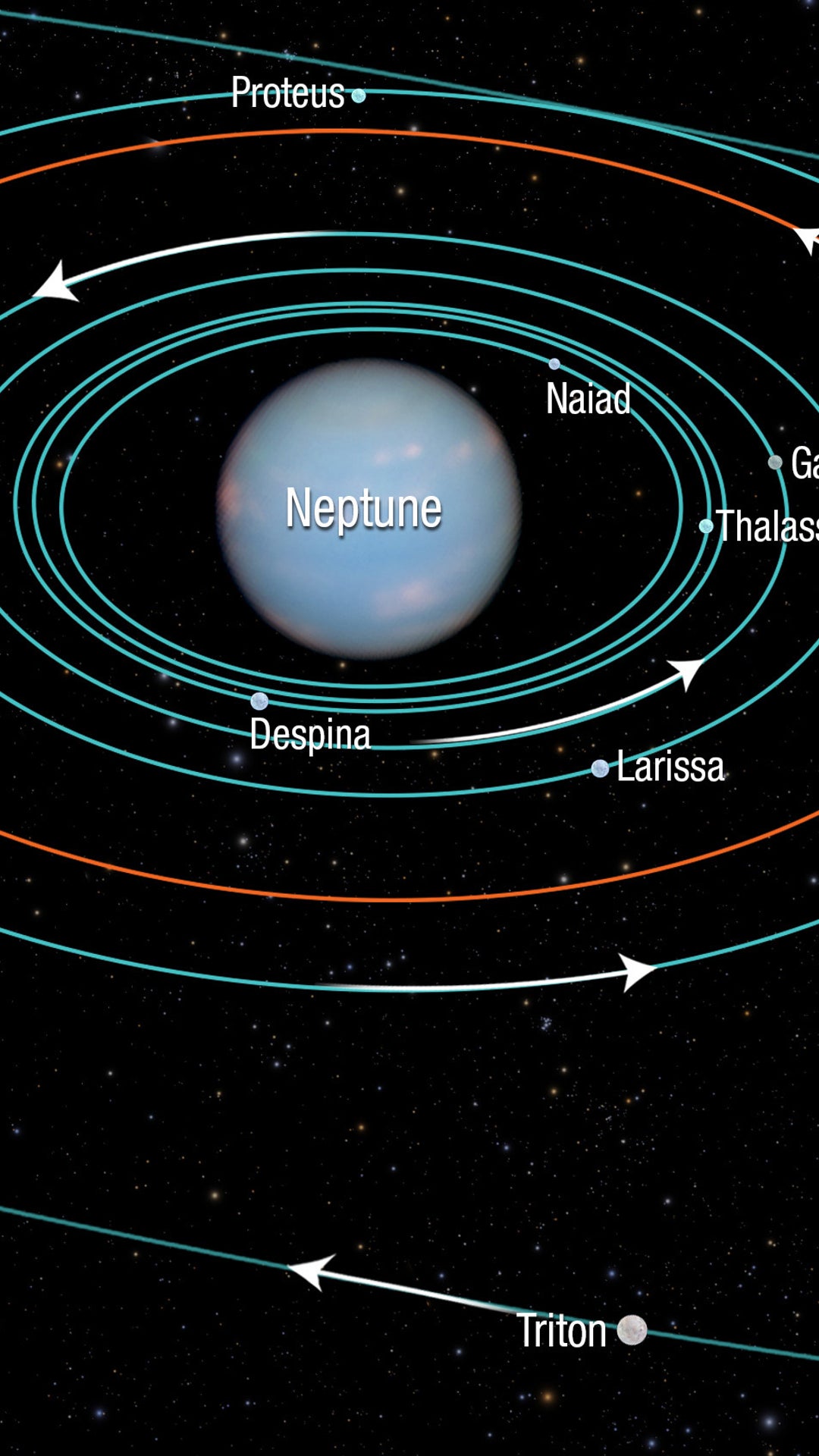 Neptune s Moons neptune-s-moons