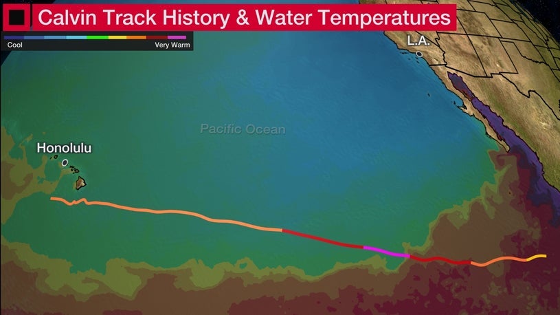 Calvin A Brush for Hawaii After Season's First Pacific Major