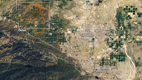 NASA’s Operational Land Imager (OLI) on the Landsat 8 satellite acquired these images of vast poppy blooms in the Antelope Valley California Poppy Reserve on April 14, 2020. These images were taken when the valley’s blooms were thought to be at or near their peak. (NASA/Earth Observatory/Lauren Dauph)