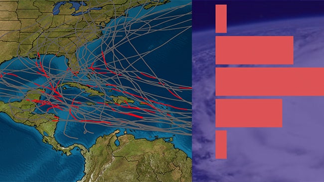 ジョリーンTHE FEW　HURRICANE 36 3T7HHKTRHNGT3LD4VHTBMM5K24.png