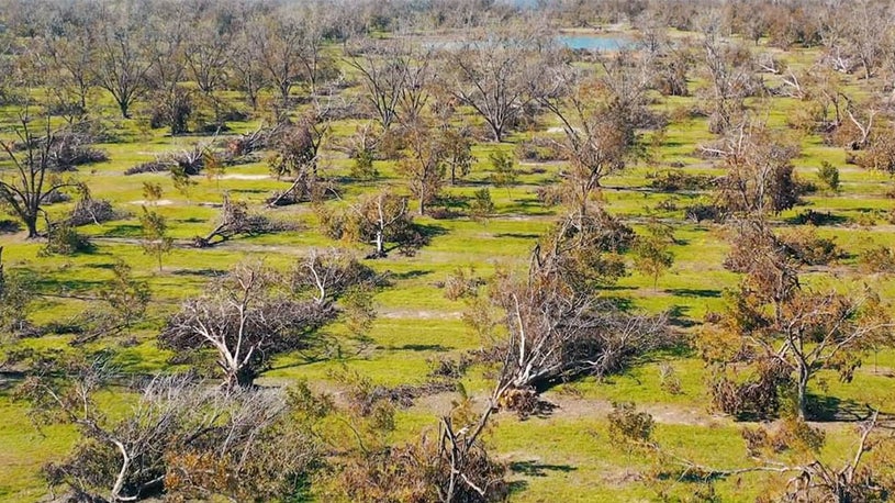 Florida Panhandle Still Struggles To Recover Six Months After Harvest Recovery And Risk After Hurricane Michael