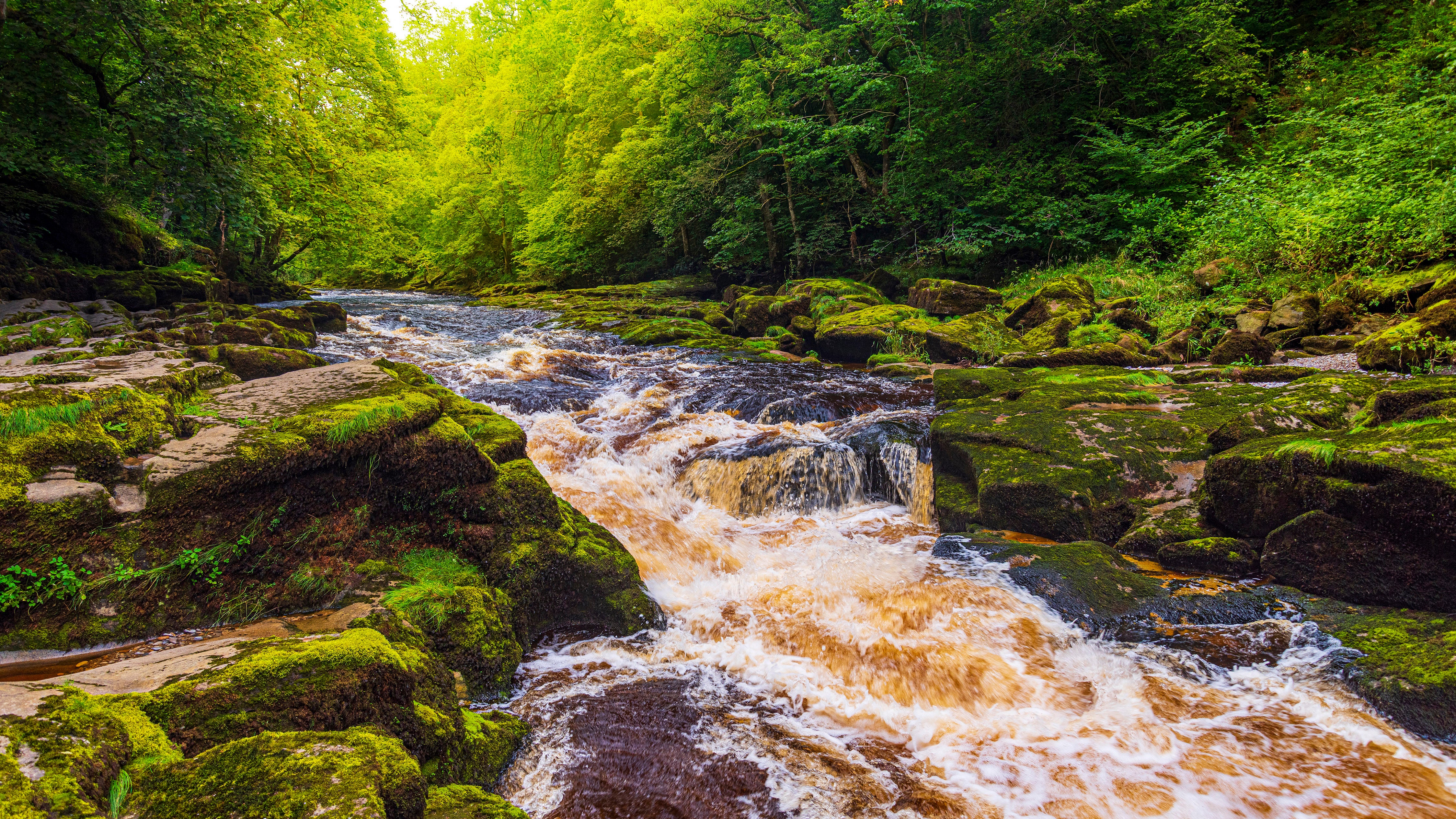 The Bolton Strid on the River Wharfe in Wharfedale, North Yorkshire, England, is seen in the photo above. Small but mighty, it&rsquo;s believed to be one of the deadliest bodies of water on Earth. (Getty Images)