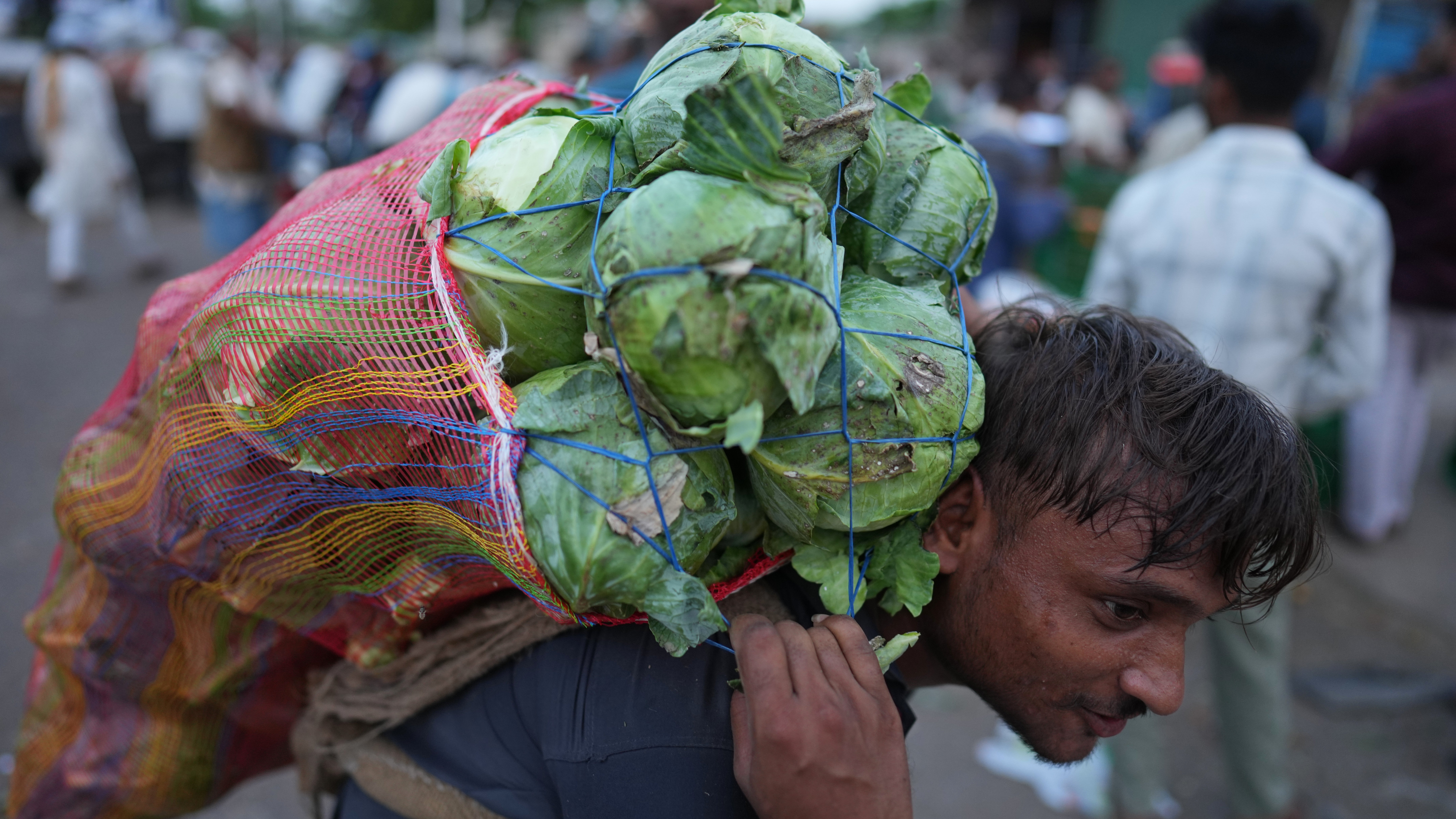 Ein Arbeiter schleppt am fr&uuml;hen Morgen einen Sack mit Kohl &uuml;ber einen Gem&uuml;semarkt in Banda (AP Photo/Rajesh Kumar Singh)