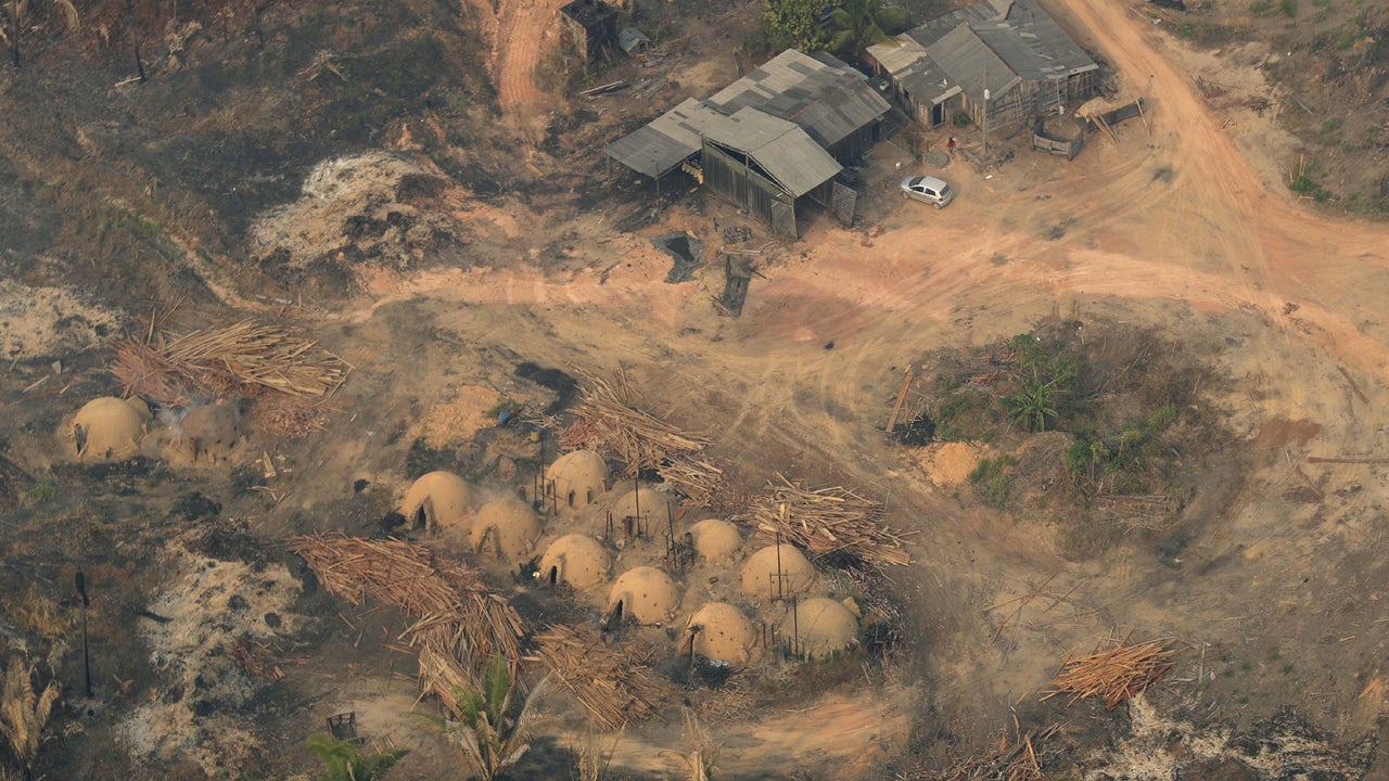 Im Schatten Von Corona Regenwald Wird Massiv Abgeholzt The Weather Channel Artikel Von The Weather Channel Weather Com