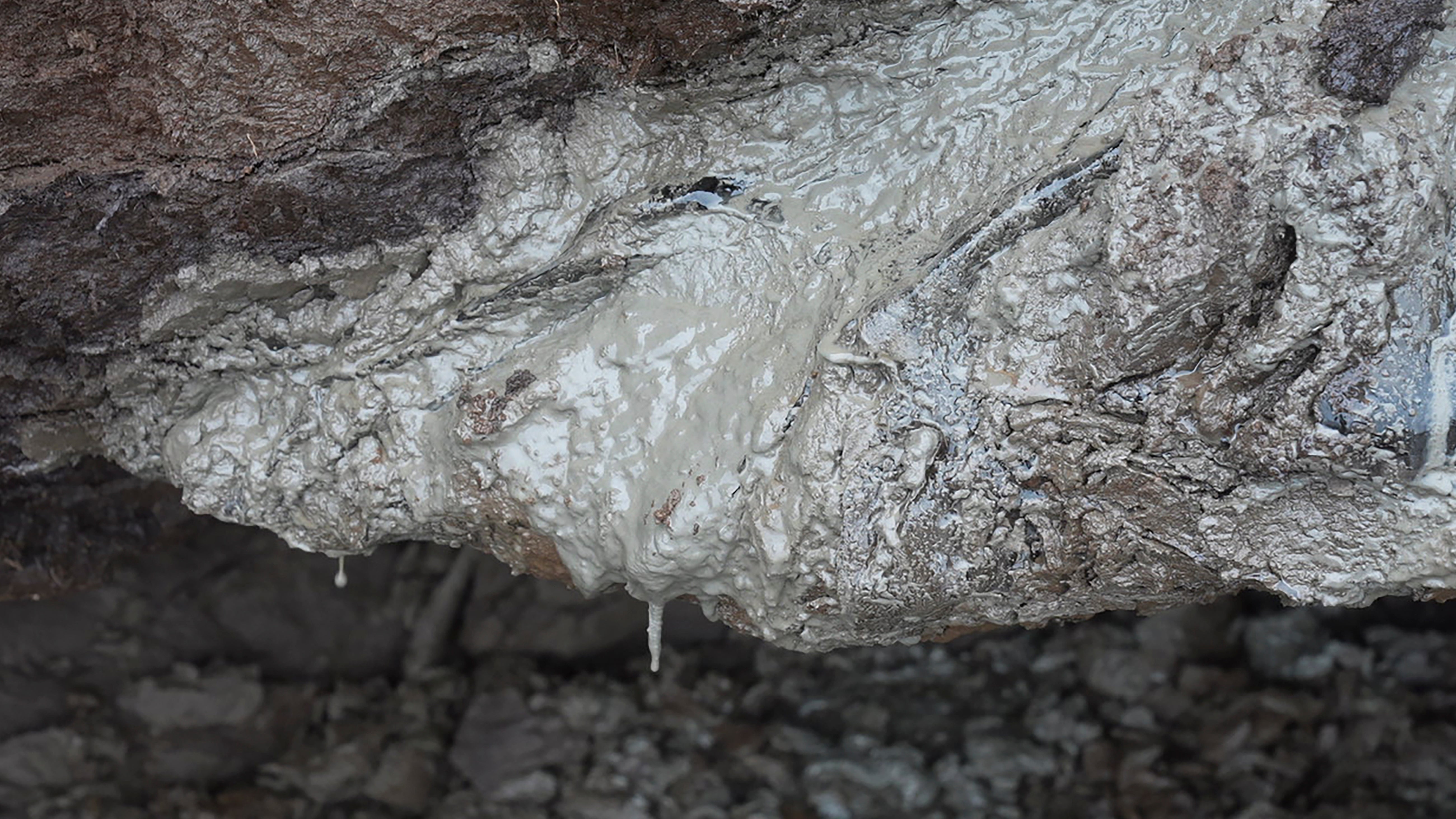 Arktis: Permafrost taut und setzt Gase frei | Weather.com