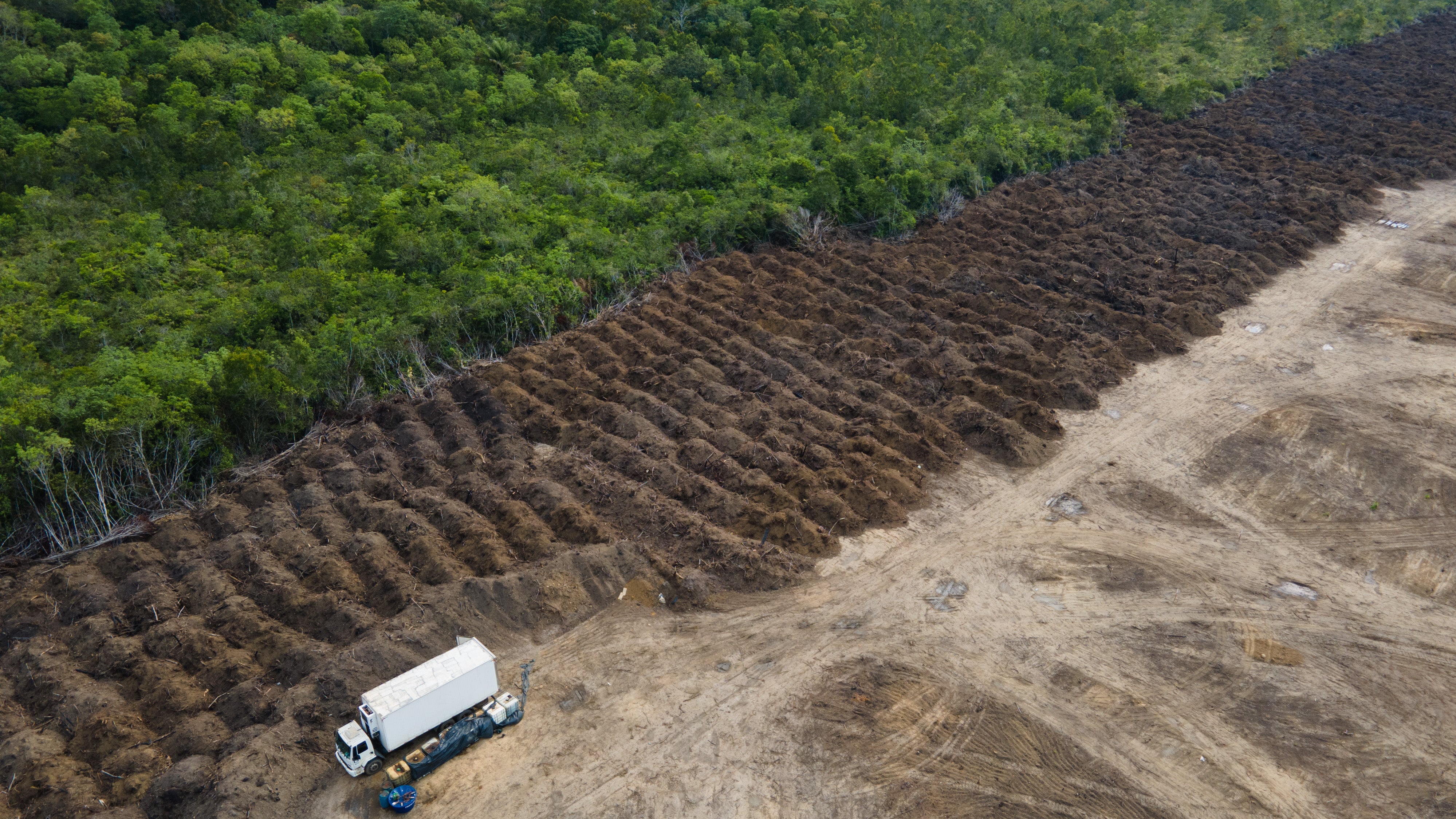 Brasilien, Porto Velho: Ein Lastwagen steht in einem abgeholzten Gebiet des Amazonas.