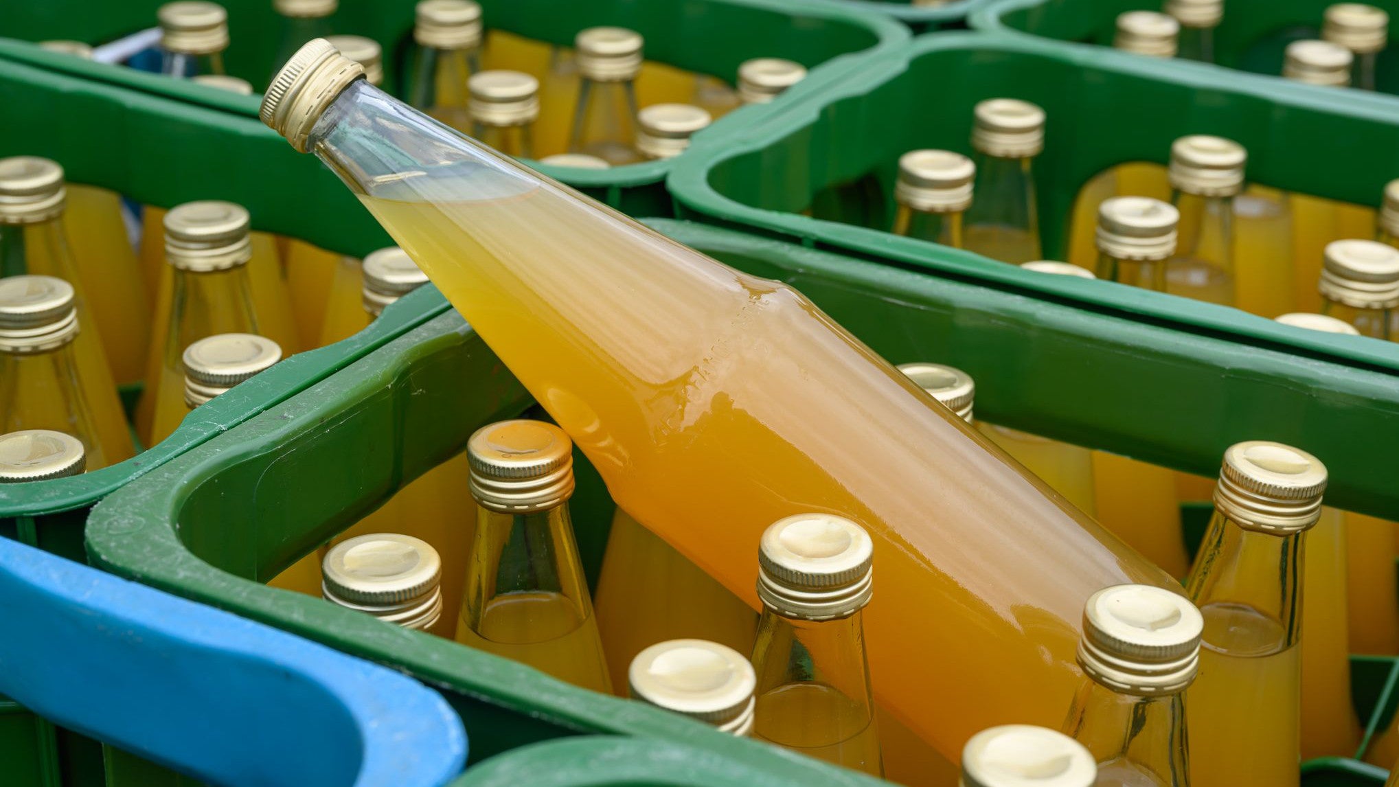 27.08.2025, Brandenburg, Buckow: In einer Mosterei im Landkreis Oder-Spree lagern frisch abgef&uuml;llte Flaschen mit naturtr&uuml;ben Apfelsaft. Obsts&auml;fte haben besonders viel Zucker. (Patrick Pleul/dpa)