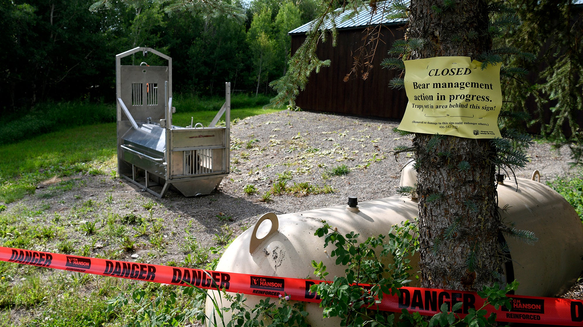 Ovando: Eine B&auml;renfalle wurde auf einem Campingplatz aufgestellt. Ein Grizzly-B&auml;r hat im Nordwesten der USA eine Camperin angegriffen und t&ouml;dlich verletzt.