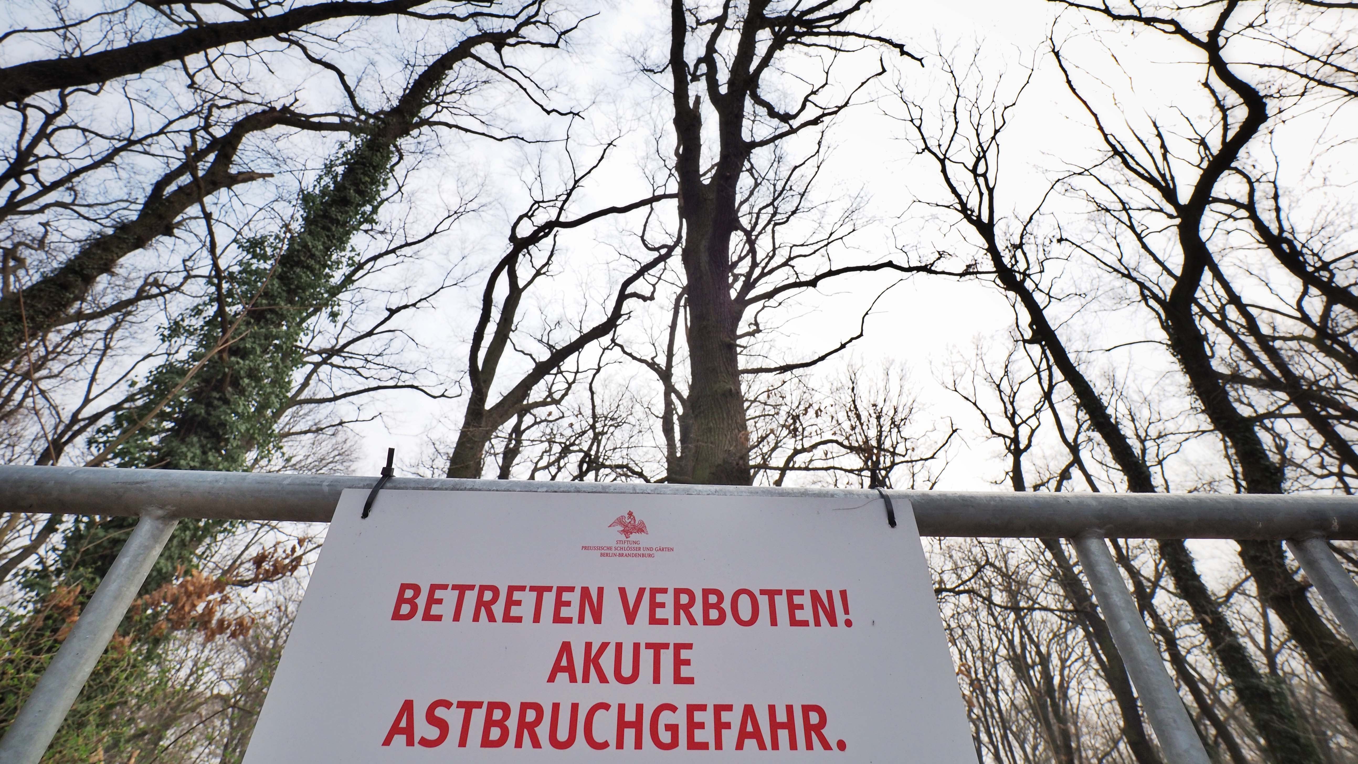 26.03.2021, Brandenburg, Potsdam: Ein Schild "Betreten verboten. Akute Astbruchgefahr." h&auml;ngt auf dem Ruinenberg vor einem abgesperrten Waldgebiet. In den extremen D&uuml;rrejahren 2018 bis 2020 trockneten besonders auf der sandigen Kuppe des Berges teilweise die Baumkronen ein und so starben alte B&auml;ume ab. Um die Regeneration des Baumbestandes zu erreichen, werden seit vergangenem Jahr auf eingez&auml;unten Fl&auml;chen unterschiedliche Verfahren zur Stabilisierung des Geh&ouml;lzbestandes erprobt. (zu dpa: "Klimawandel bringt historische Parkanlage von Potsdam-Sanssouci in Bedr&auml;ngnis") Foto: Soeren Stache/dpa-Zentralbild/dpa +++ dpa-Bildfunk +++