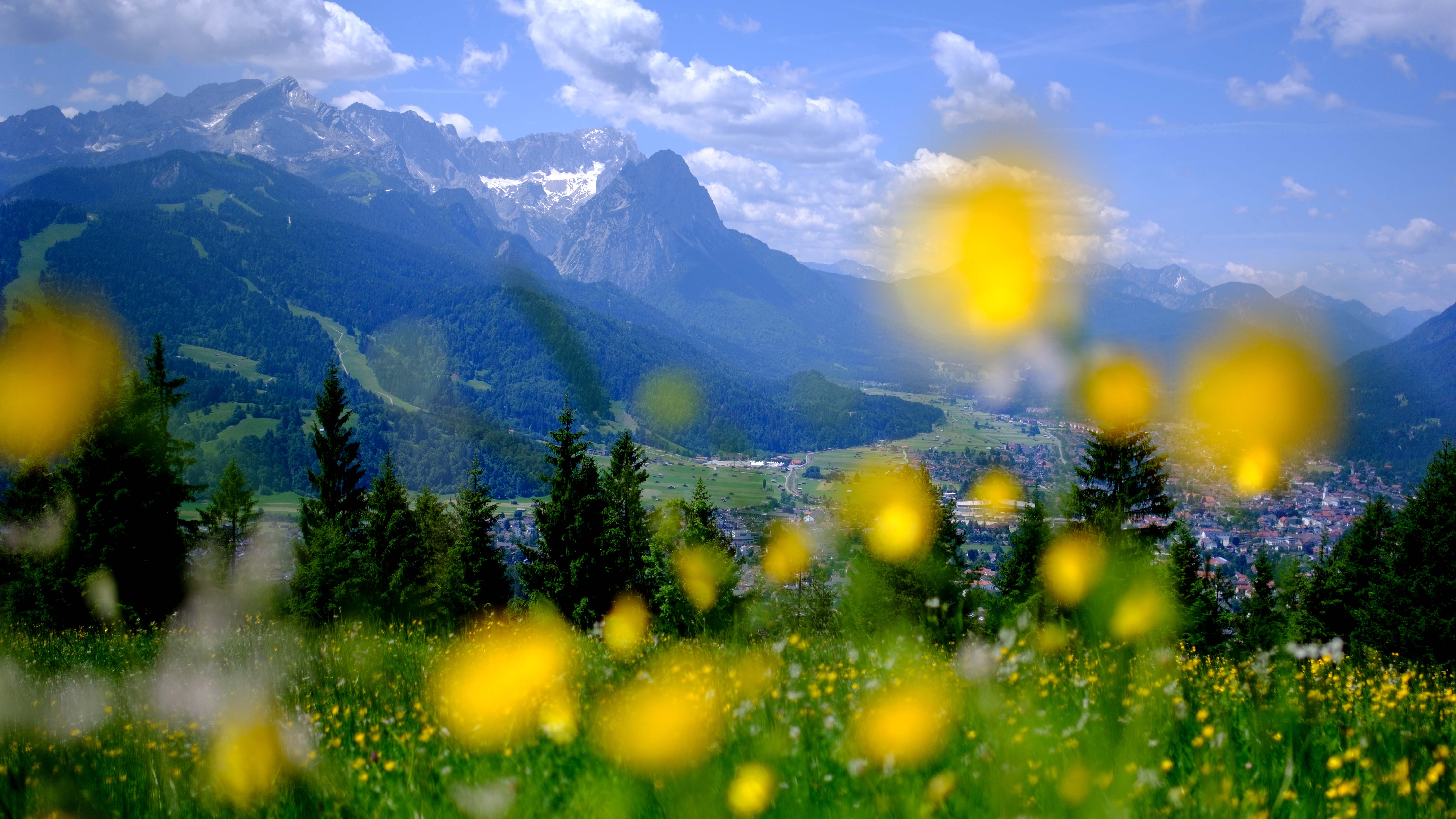 ARCHIV - 15.06.2017, Bayern, Garmisch-Partenkirchen: Gelbe Blumen bl&cedil;hen auf einer Wiese am Wank. Im Hintergrund sind die Gipfel des Wettersteins mit der Zugspitze zu sehen. In diesem Corona-Sommer st&cedil;rmen Erholungssuchende mehr denn je Bayerns Alpenidylle. (zu dpa &acute;Freizeitkollaps: Bayerns Berge im Urlaubsstress&ordf;) Foto: picture alliance / Sven Hoppe/dpa +++ dpa-Bildfunk +++