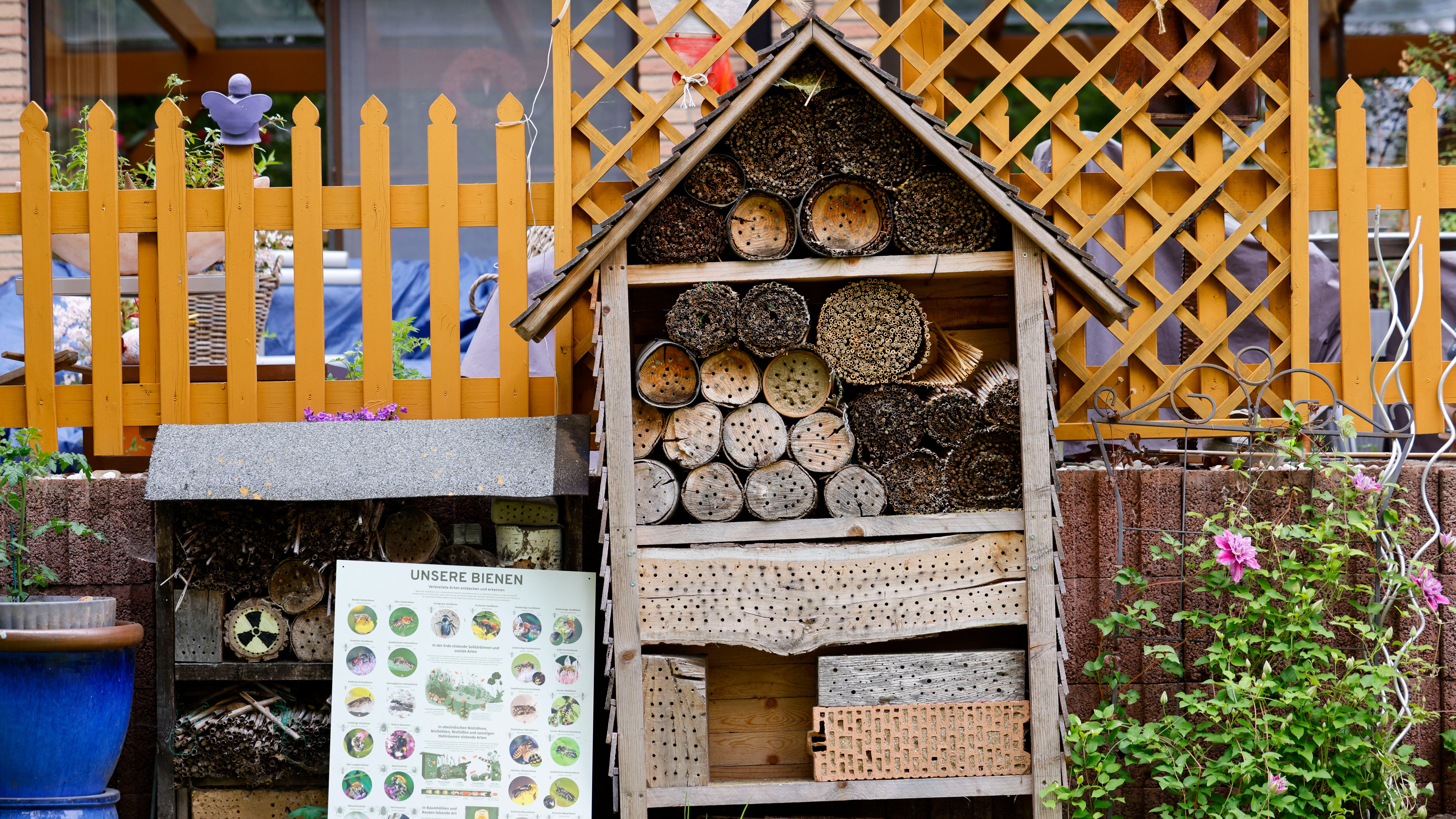 13.05.2026, Nordrhein-Westfalen, Bornheim: Ein Wildbienenhaus steht in dem Garten des Hobbyimkers Friedel Mierbach. (Thomas Banneyer/dpa)