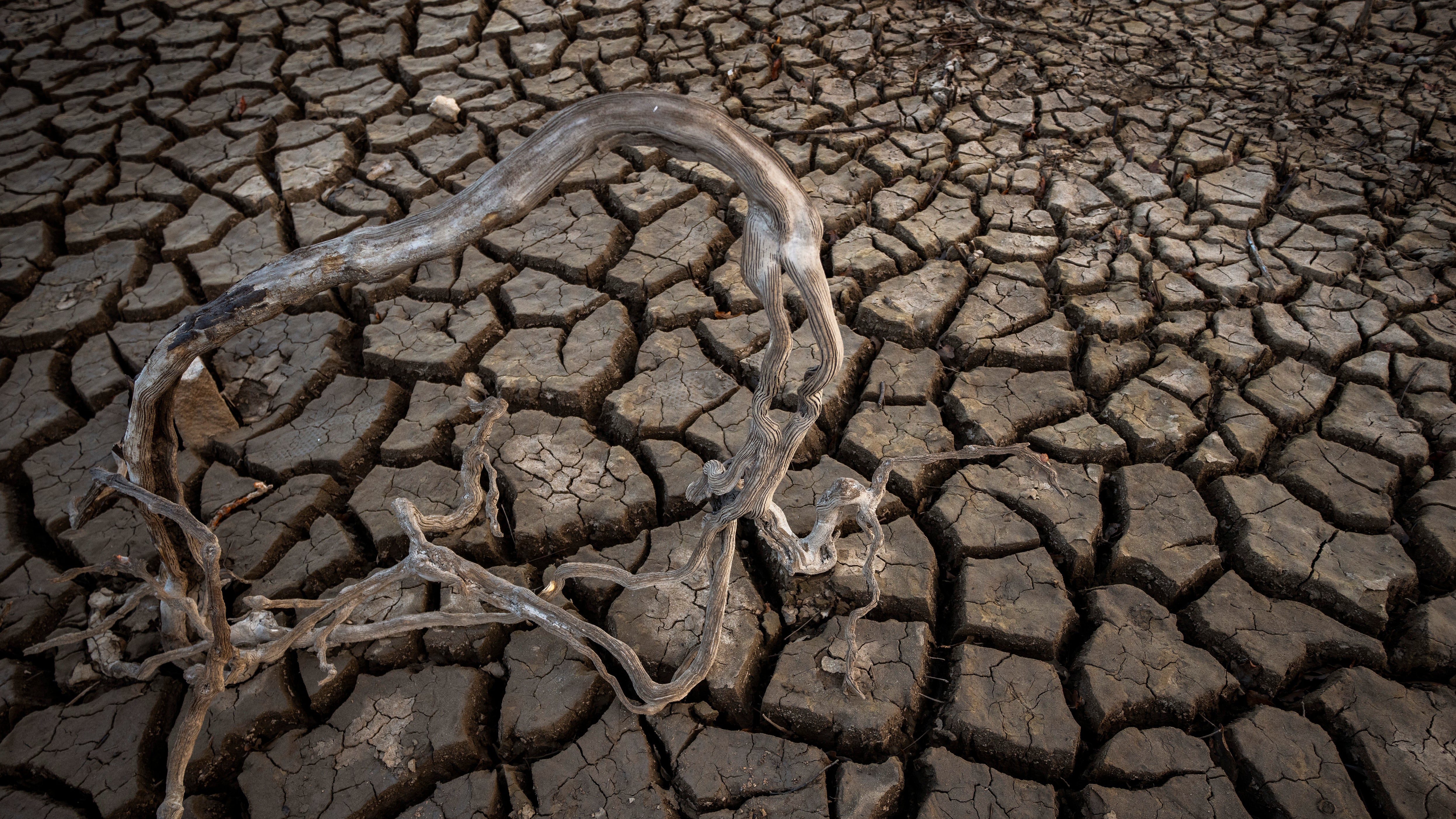 12.02.2022, Spanien, Aceredo: Eine trockene Wurzeln ist auf einem St&uuml;ck ausgetrockener Erde in dem alten Dorf Aceredo zu sehen. D&auml;cher, die aus dem Wasser ragen, sind jeden Sommer ein allt&auml;gliches Bild am Lindoso-Stausee. In besonders trockenen Jahren tauchen Teile des alten Dorfes Aceredo auf, das vor drei Jahrzehnten &uuml;berflutet wurde, als ein Wasserkraftwerk das Tal &uuml;berschwemmte. Aber noch nie zuvor war das Skelett des Dorfes in seiner Gesamtheit aufgetaucht, und das mitten in der normalerweise nassen Wintersaison. Foto: Emilio Morenatti/AP/dpa +++ dpa-Bildfunk +++