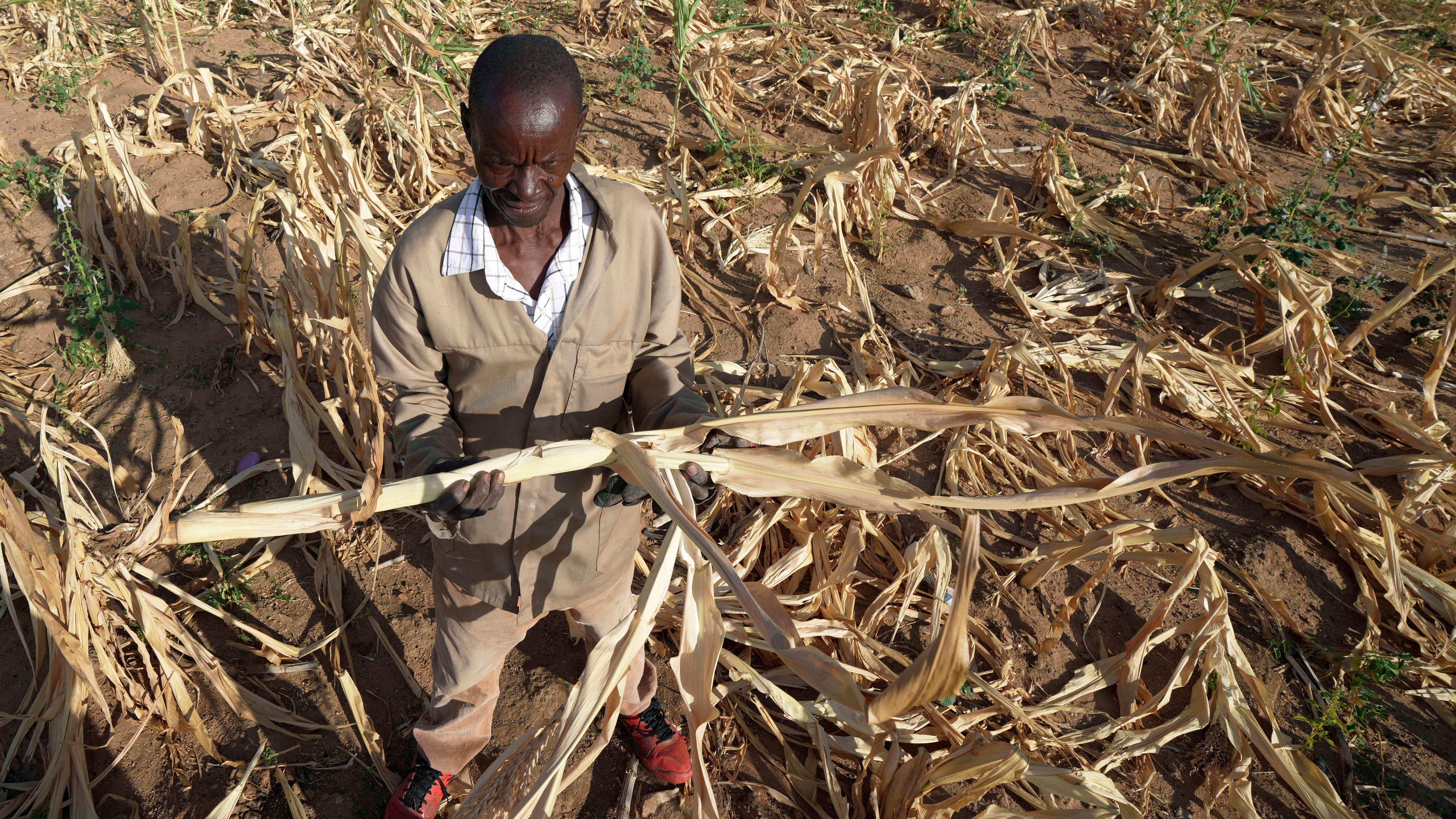 22.03.2023, Simbabwe, Mangwe: James Tshuma, ein Bauer im Bezirk Mangwe im S&uuml;dwesten Simbabwes, steht inmitten seines ausgetrockneten Feldes inmitten einer D&uuml;rre in Simbabwe. Eine neue D&uuml;rre hat Millionen von Menschen im s&uuml;dlichen Afrika mit Hunger konfrontiert, da sie die Auswirkungen extremer Wetterbedingungen zu sp&uuml;ren bekommen, die nach Ansicht von Wissenschaftlern immer h&auml;ufiger und sch&auml;dlicher werden. Foto: Tsvangirayi Mukwazhi/AP +++ dpa-Bildfunk +++
