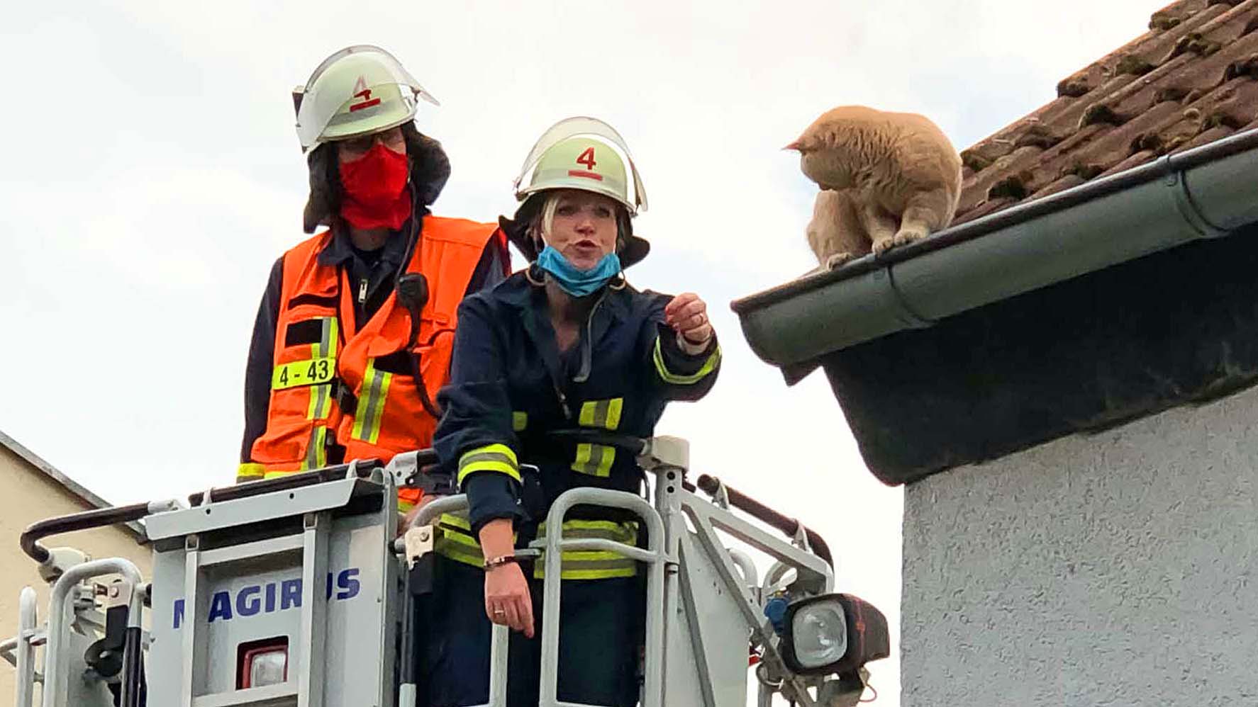 ARCHIV - 09.08.2020, Hessen, Friedrichsdorf: Mit einer Drehleiter n&auml;hern sich die Feuerwehrleute Sandra Kalweit (r) und Holger G&ouml;bel der Katze "Nala", die sich auf die Dachrinne eines Hauses verirrt hatte und sich weder vor noch zur&uuml;ck bewegte. Die Katze konnte sicher aus ihrer misslichen Lage befreit und ihrem gl&uuml;cklichen Besitzer &uuml;bergeben werden. (zu dpa &laquo;Helden und Ausrei&szlig;er: Hund, Katze, Spinne und Co 2020&raquo;) Foto: Wiesbaden112.de/dpa +++ dpa-Bildfunk +++