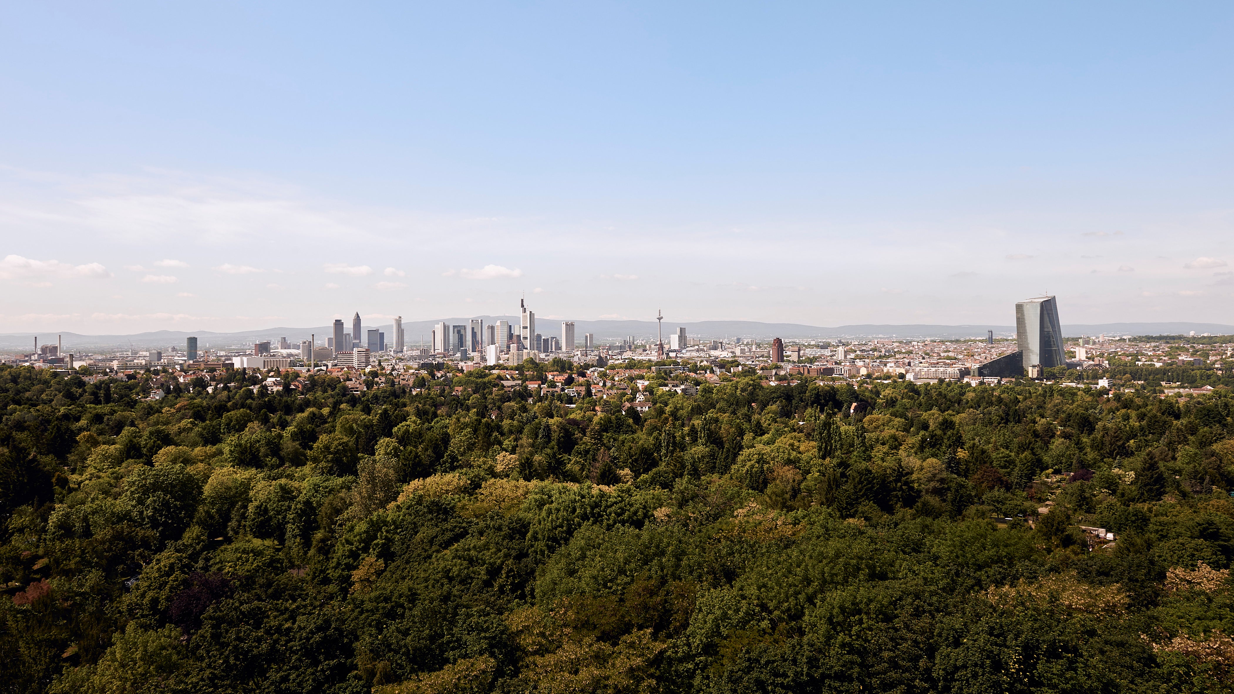 Der Stadtwald in Frankfurt am Main