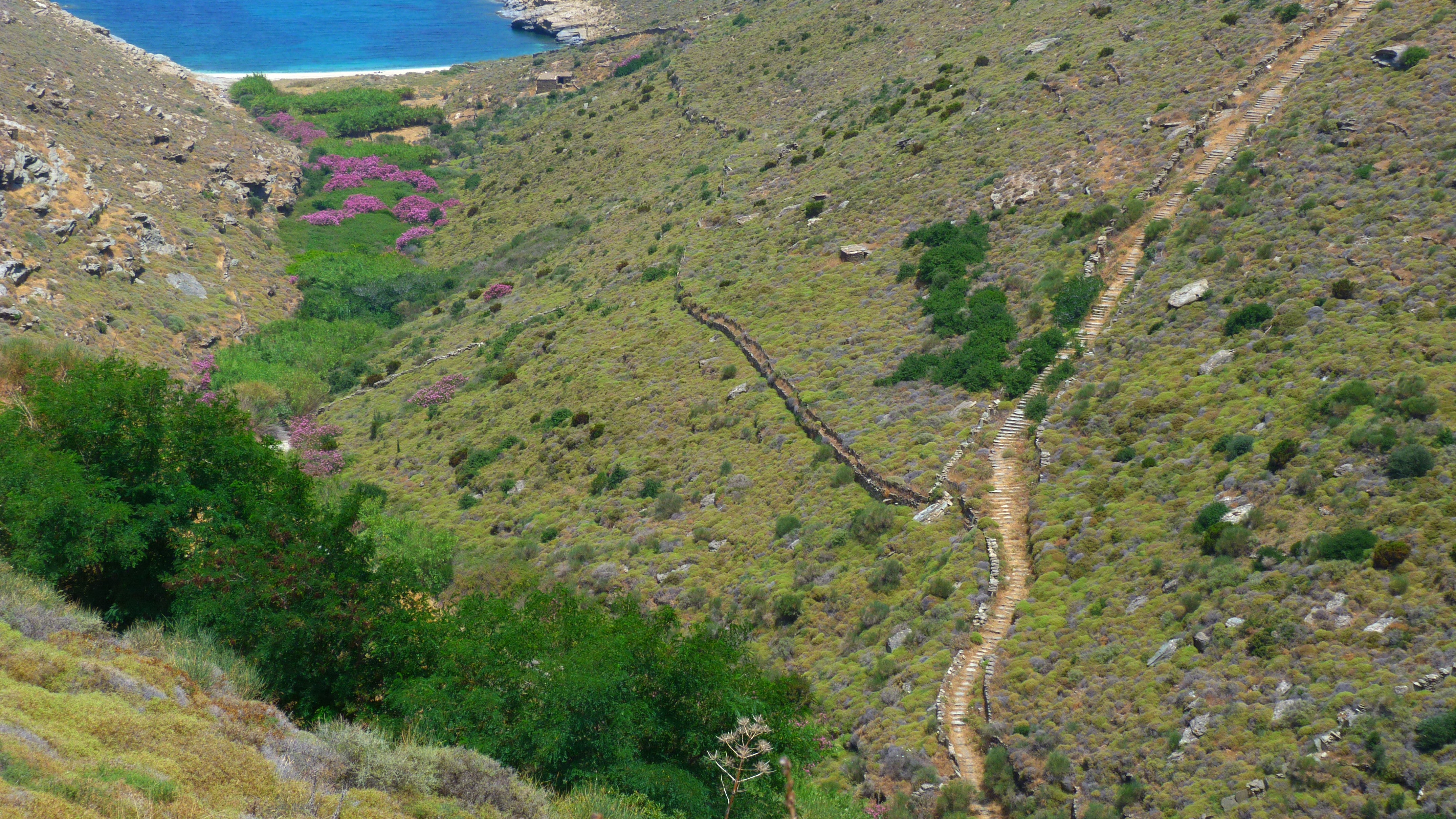 Ein Pfad auf der Andros Insel, Kykladen, Griechenland