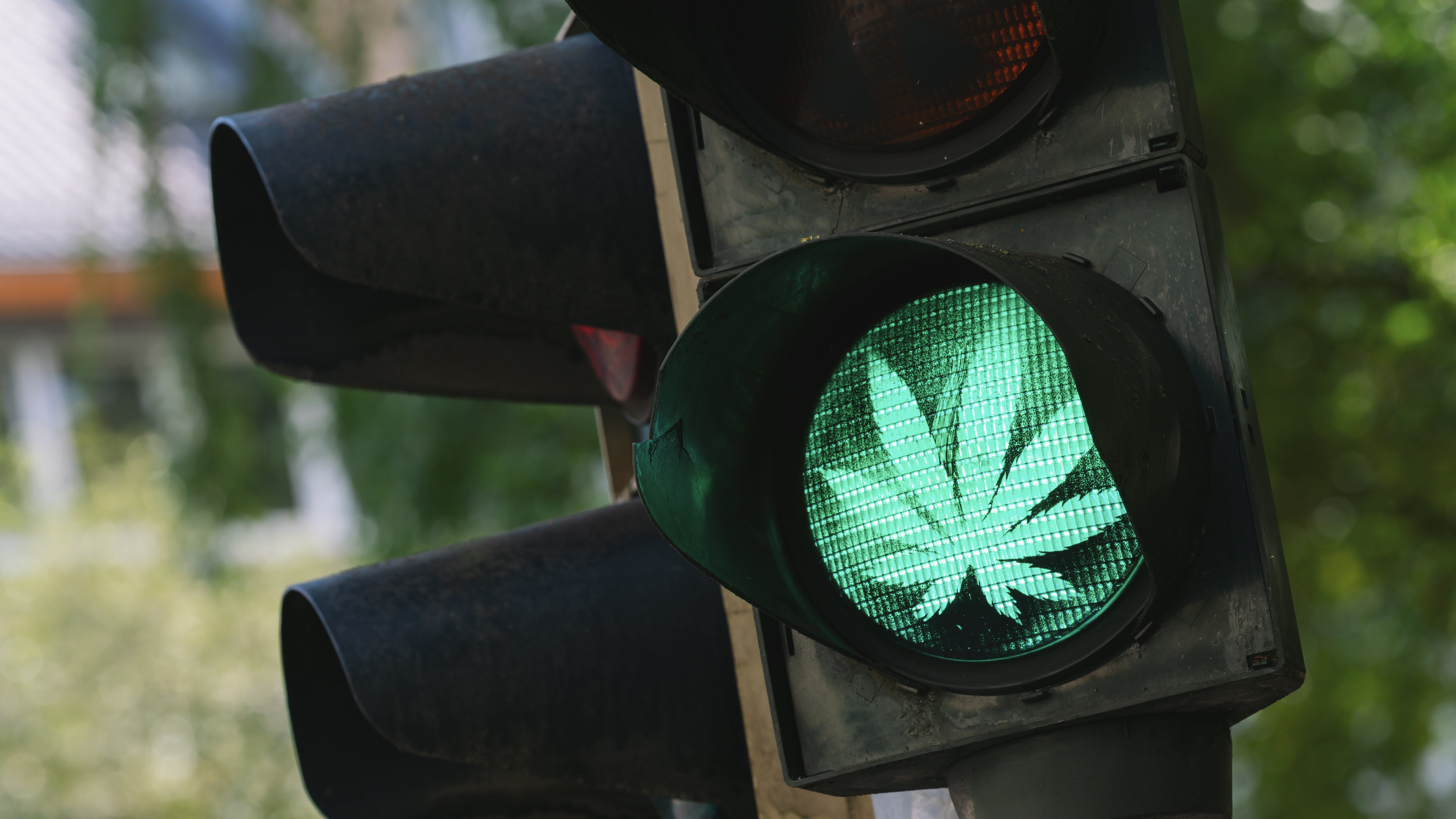 Virginia legalisiert als 16. US-Staat Marihuana