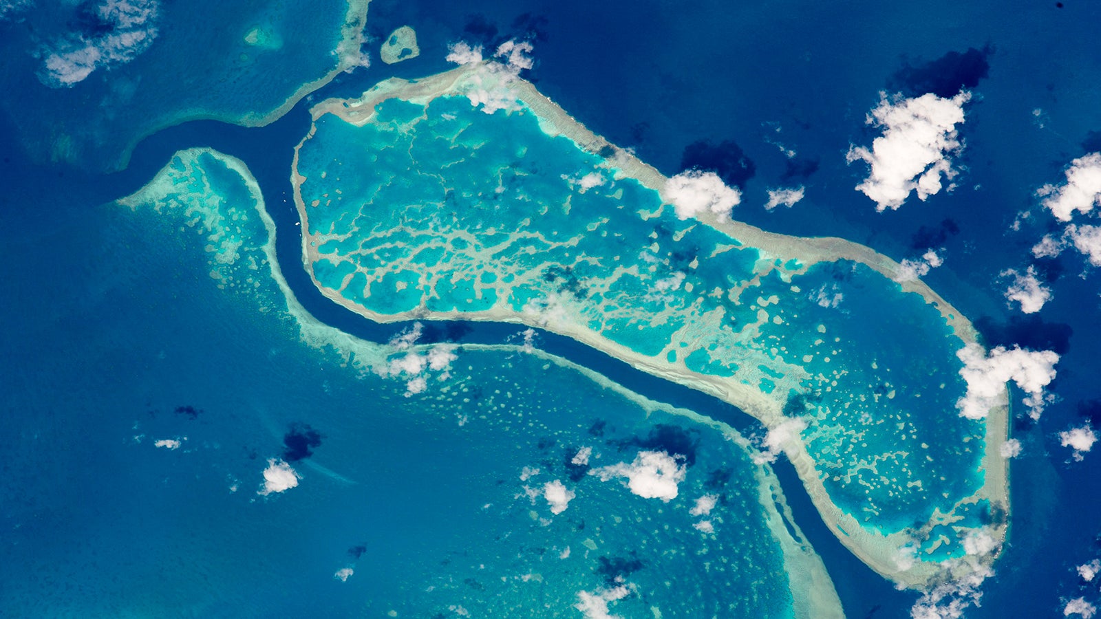 HANDOUT - 15.10.2015, Australien, NA: Das Handout der Nasa zeigt das Great Barrier Reef, fotografiert von der Internationalen Raumsttaion ISS aus. (Zu dpa &laquo;Die Angst um das gro&szlig;e Riff: Kohleland Australien im Visier der UN&raquo;) Foto: Nasa/dpa - ACHTUNG: Nur zur redaktionellen Verwendung und nur mit vollst&auml;ndiger Nennung des vorstehenden Credits +++ dpa-Bildfunk +++