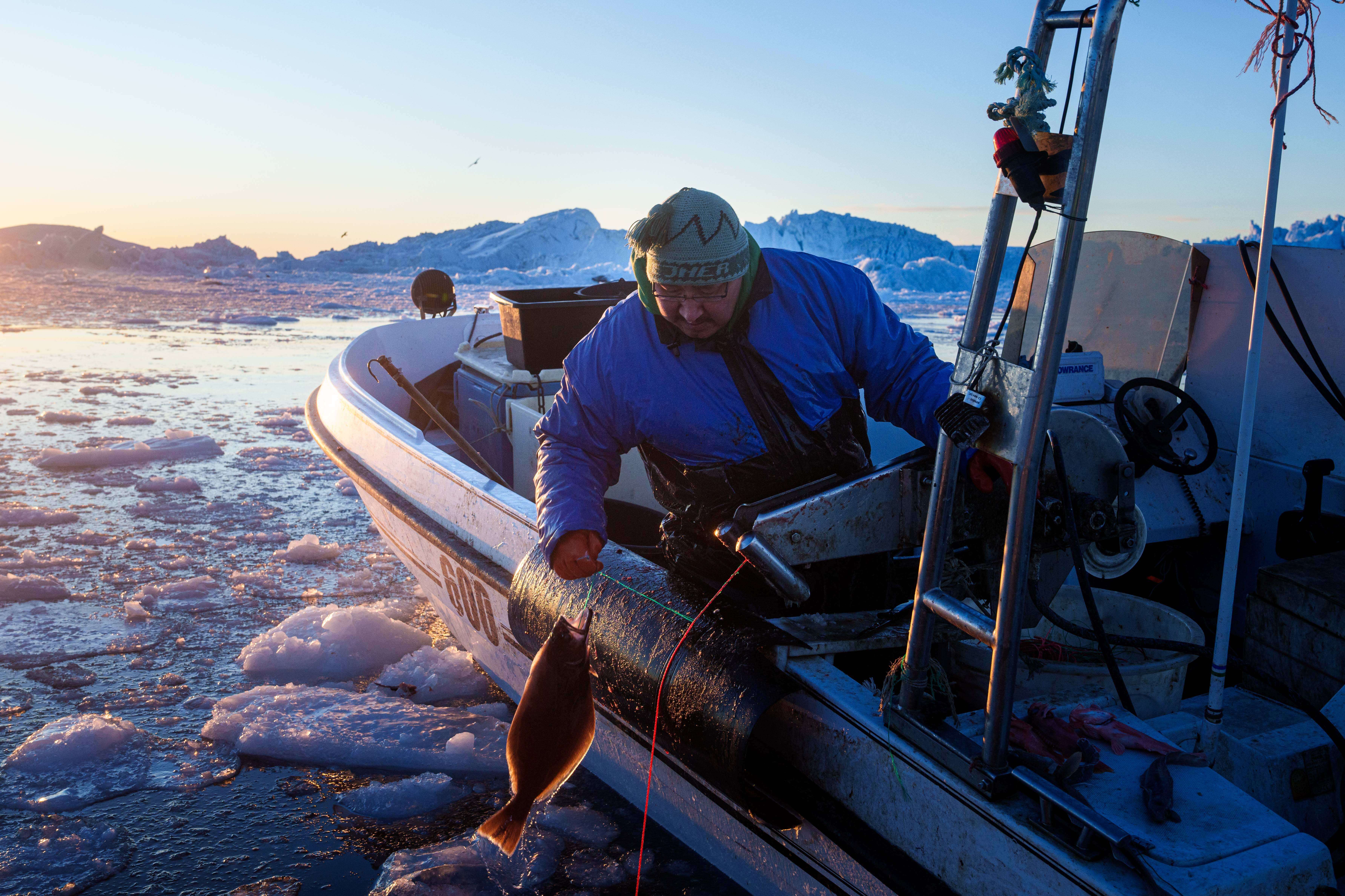 28. Januar 2026: Ein Fischer f&auml;ngt in der Diskobucht bei Ilulissat, Gr&ouml;nland, einen Heilbutt. (AP Photo/Evgeniy Maloletka)