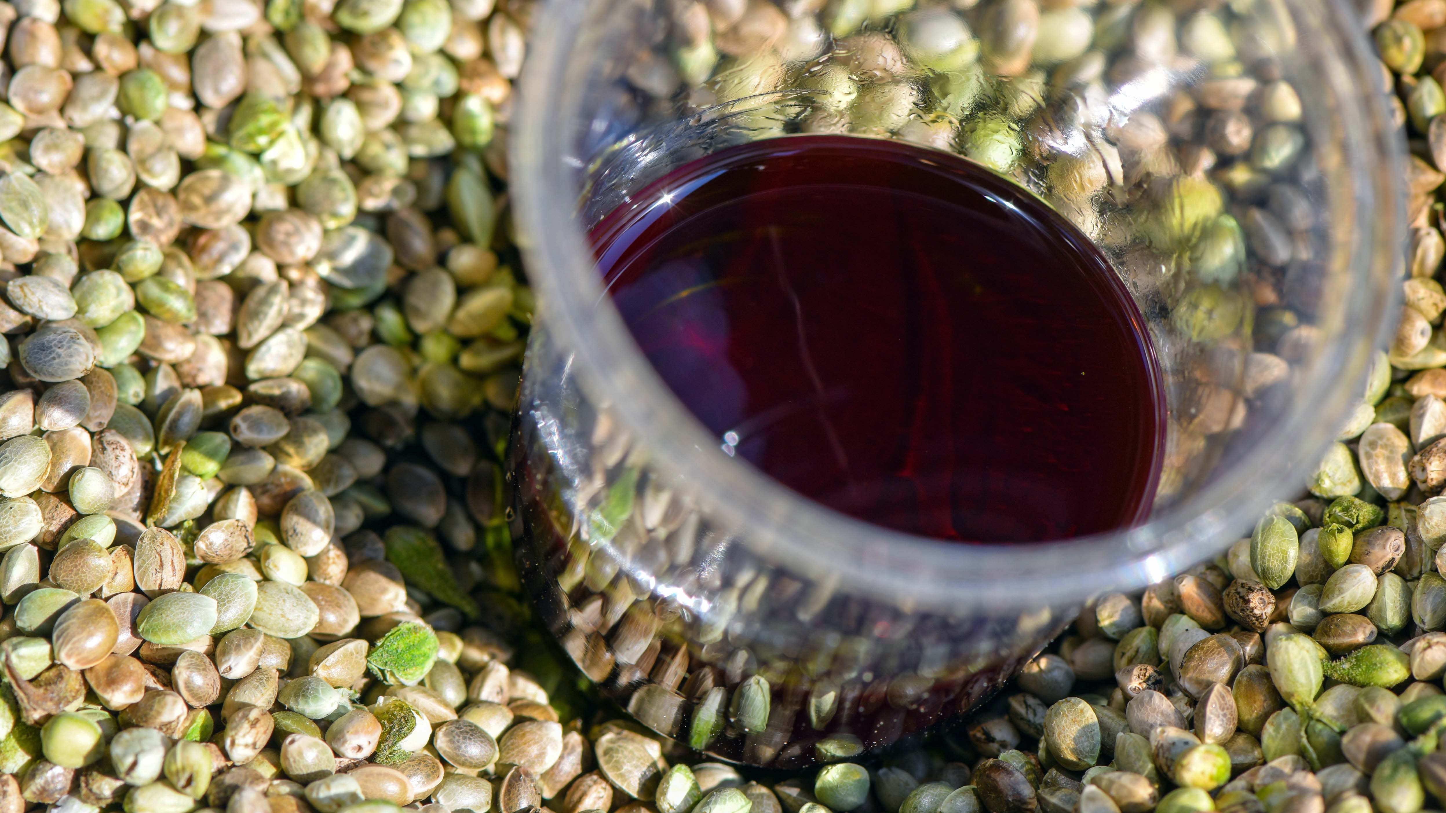 ARCHIV - 16.04.2019, Brandenburg, F&uuml;rstenwalde: Die Samen von Hanf und das daraus gepresste &Ouml;l. Experten warnen vor dubiosen Corona-Schutz-Versprechen bei Anbietern von Mitteln wie&nbsp;Ingwerextrakt und&nbsp;Hanf&ouml;l. (zu dpa &laquo;Experten warnen vor vermeintlichen Wundermitteln gegen Corona&raquo;) Foto: Patrick Pleul/dpa-Zentralbild/dpa +++ dpa-Bildfunk +++