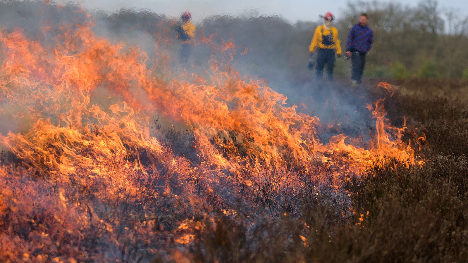03.03.2022, Niedersachsen, Behringen: Feuerwehrleute &uuml;berwachen das Abbrennen einer Heidefl&auml;che. Die Stiftung Naturschutzpark L&uuml;neburger Heide legt jeden Winter gezielt Feuer. F&uuml;r Tier- und Pflanzenwelt hat das Brennen den Vorteil, dass N&auml;hrstoffe im Boden bleiben. Foto: Philipp Schulze/dpa +++ dpa-Bildfunk +++