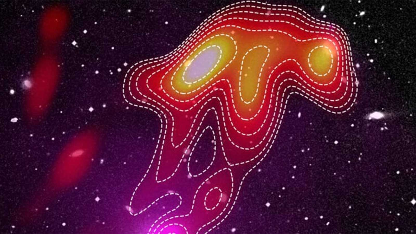 Quallenf&ouml;rmige Funkemissionen aus dem Galaxienhaufen Abell 2877 - Torrance Hodgson, ICRAR/Curtin University