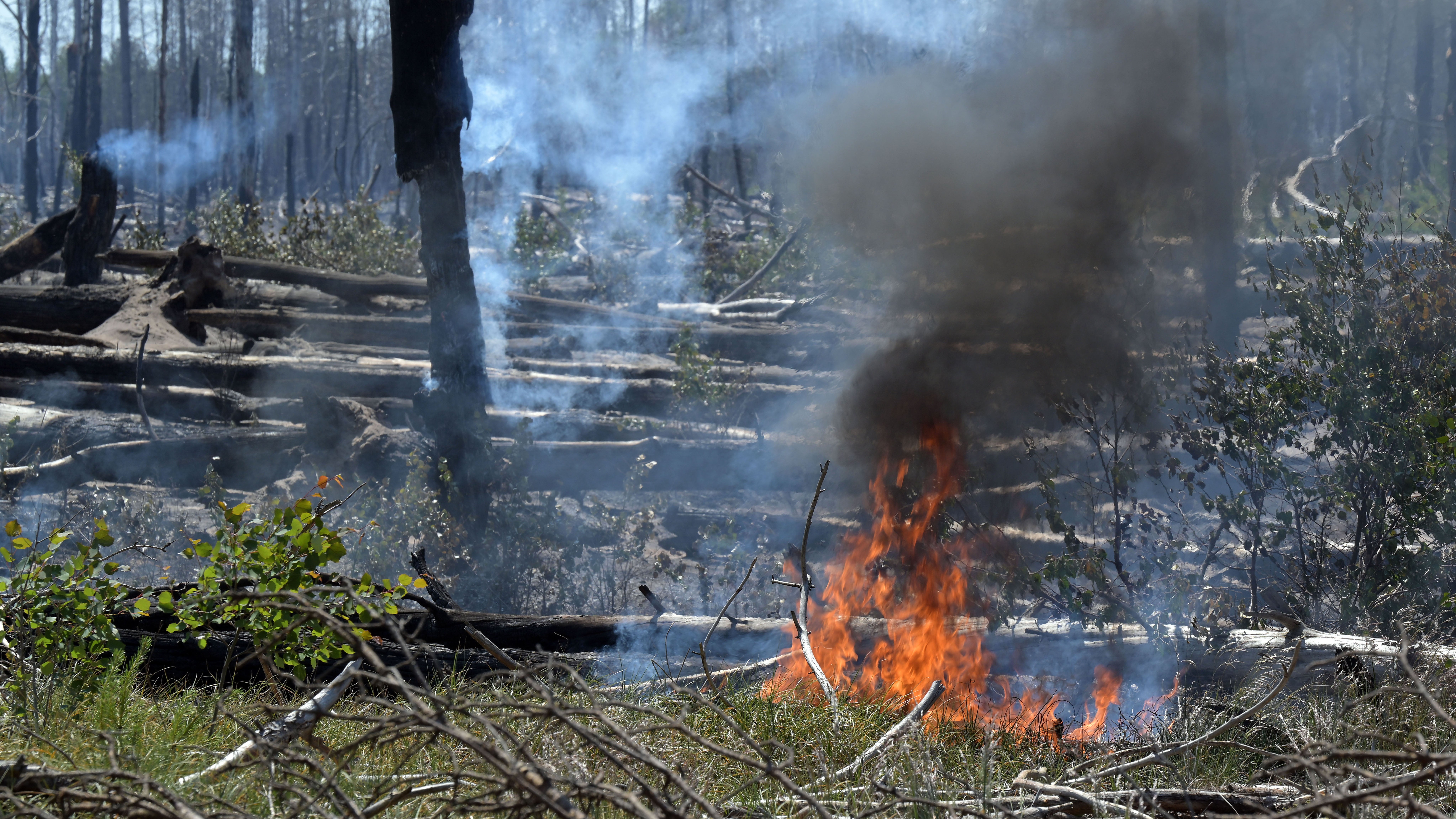 04.06.2023, Brandenburg, J&uuml;terbog: Brennender Wald bei J&uuml;terbog. Der Waldbrand in dem ehemaligen Truppen&uuml;bungsgebiet dort ist immer noch nicht gel&ouml;scht. Foto: Michael Bahlo/dpa +++ dpa-Bildfunk +++

