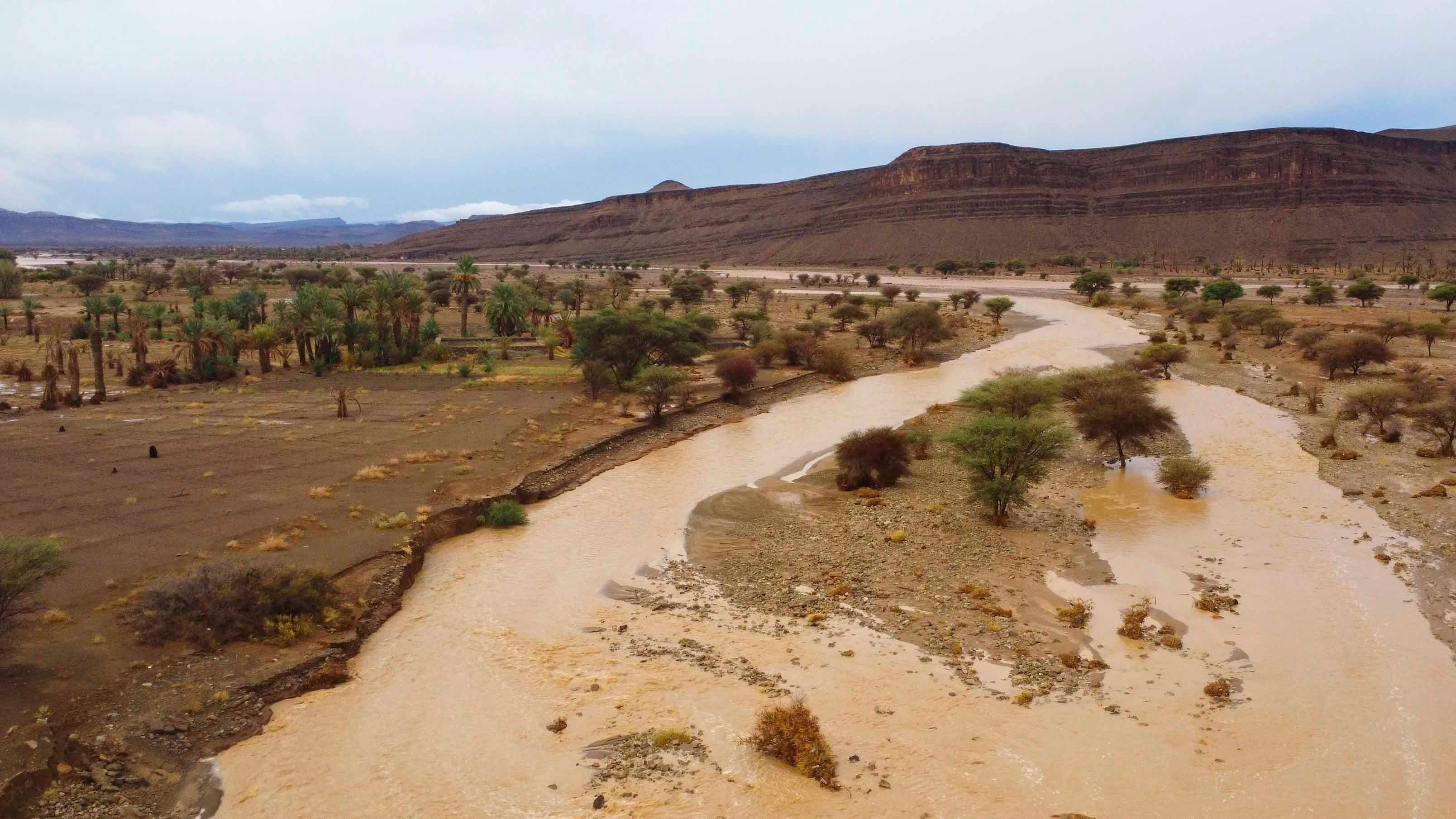 08.09.2024, Marokko, Tazarine: Eine W&uuml;stenoase ist aufgrund starker Regenf&auml;lle in der Provinz Zagora in S&uuml;dmarokko &uuml;berflutet. Nach Angaben der marokkanischen Beh&ouml;rden hat das au&szlig;ergew&ouml;hnliche Wetter in S&uuml;dmarokko mehrere Menschen get&ouml;tet und H&auml;user zerst&ouml;rt. Foto: STR/AP/dpa +++ dpa-Bildfunk +++