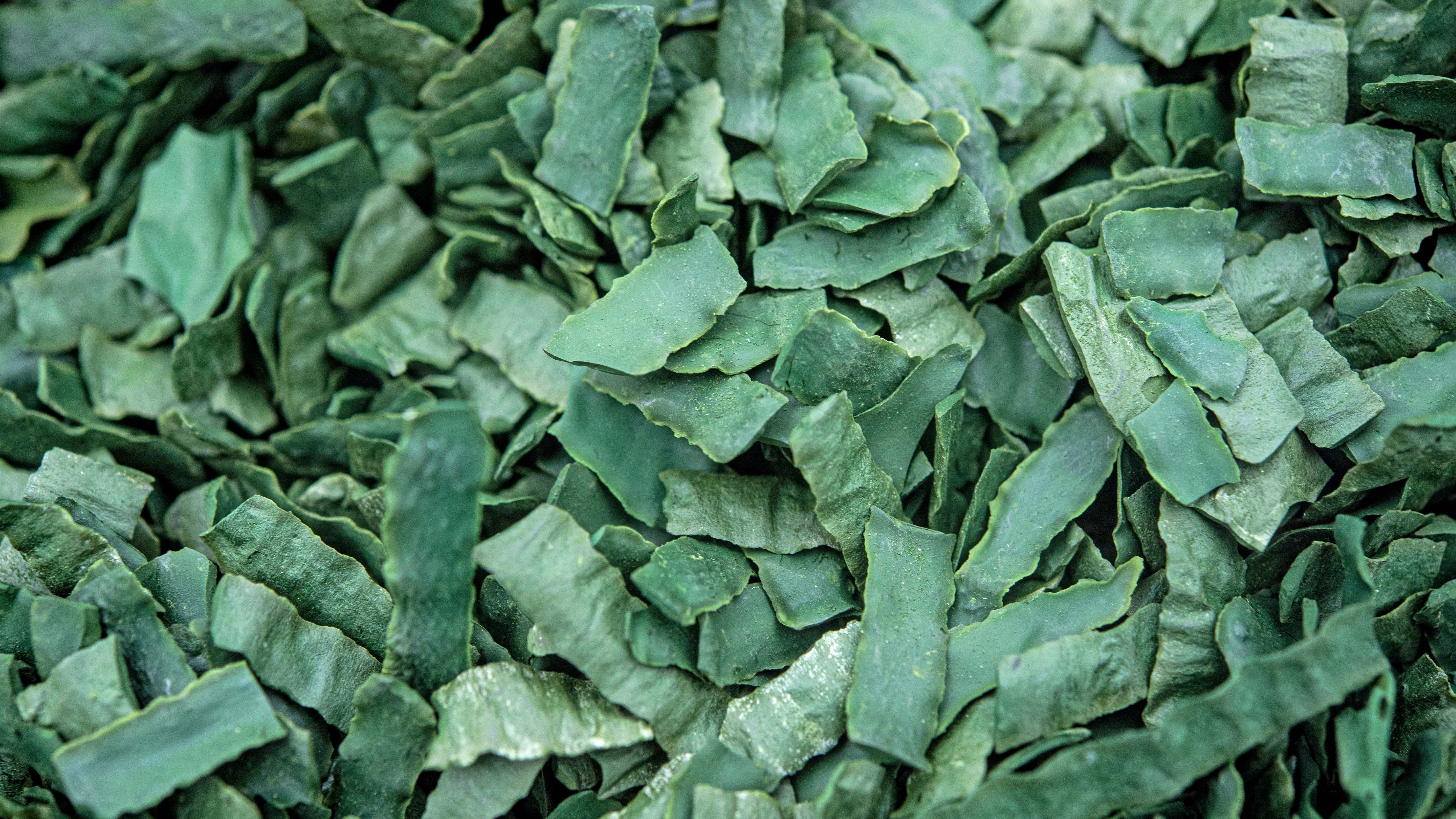 17.02.2021, Niedersachsen, Rockstedt: Mikroalgen wurden zu seiner getrocknete Algenpaste verarbeitet. Mikroalgen gelten als Superfood. Reich an Proteinen und Vitaminen, werden sie in Asien schon lange hoch gesch&permil;tzt. Als Pulver im M&cedil;sli, fl&cedil;ssig im Smoothie oder als Spirulina-Eis findet die Alge auch in Deutschland mehr und mehr Freunde. Die Algenz&cedil;chter in Rockstedt erwarten auch in diesem Jahr eine Gesamtproduktionsmenge von rund zwei Tonnen der Mikroalge Spirulina.     (zu dpa "Je gr&cedil;ner, desto besser: Mikroalgen gedeihen in Rockstedt") Foto: Sina Schuldt/dpa +++ dpa-Bildfunk +++