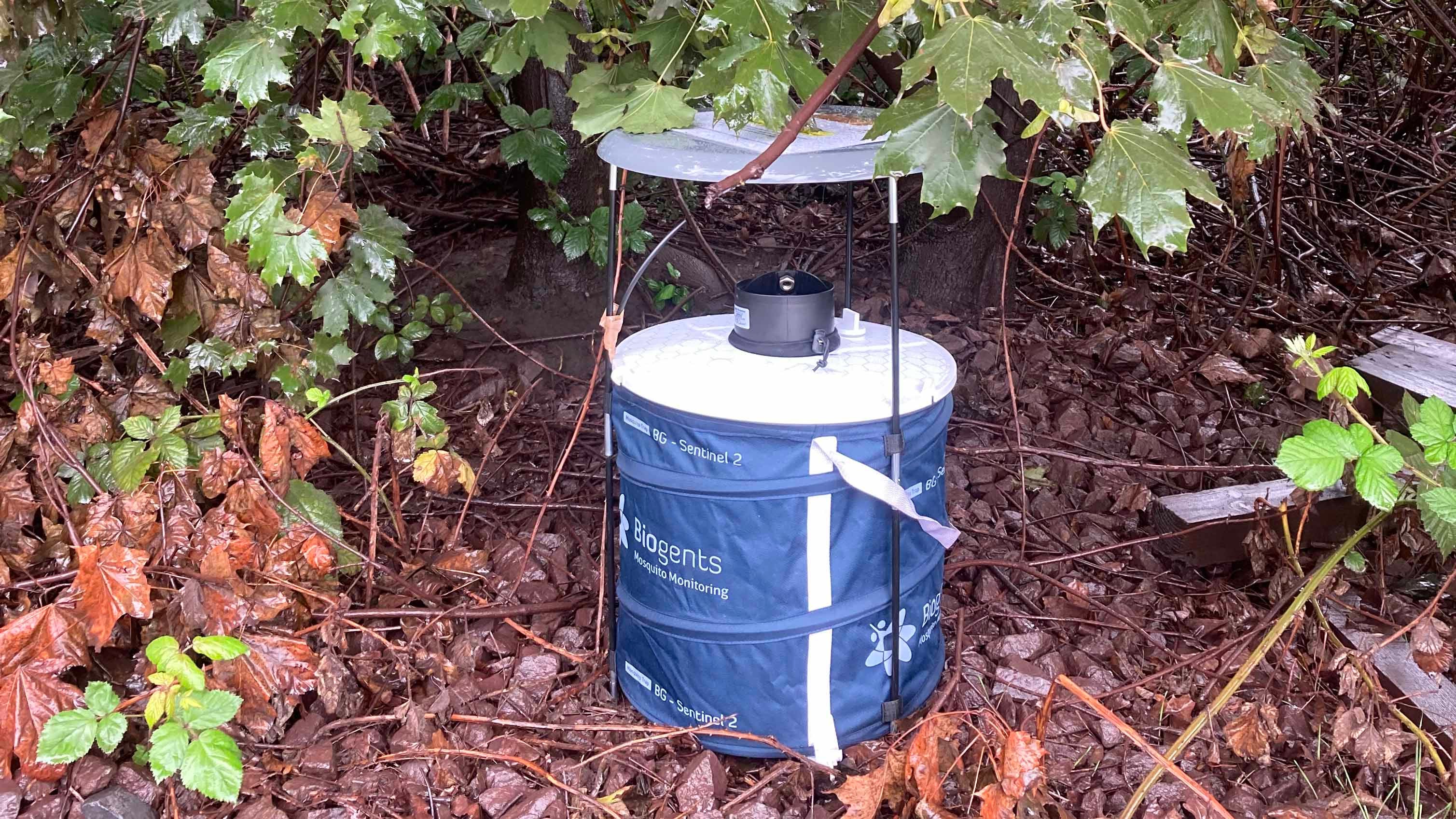 HANDOUT - 01.08.2023, Hamburg: Eine M&cedil;ckenfalle, die das Institut f&cedil;r Hygiene und Umwelt aufgestellt hat, steht in Hafen-N&permil;he. Mittels Duftstoffen werden die Plagegeister angelockt und mit einem Ventilator eingesaugt. Dann werden die Tiere untersucht, ob es eine normale M&cedil;cke ist oder ein eingeschlepptes Insekt. (zu dpa "Der Kampf gegen die Tigerm&cedil;cke - M&cedil;ckenf&permil;nger und Fallen") Foto: -/Institut f&cedil;r Hygiene und Umwelt, Hamburg/dpa - ACHTUNG: Nur zur redaktionellen Verwendung im Zusammenhang mit der aktuellen Berichterstattung und nur mit vollst&permil;ndiger Nennung des vorstehenden Credits +++ dpa-Bildfunk +++