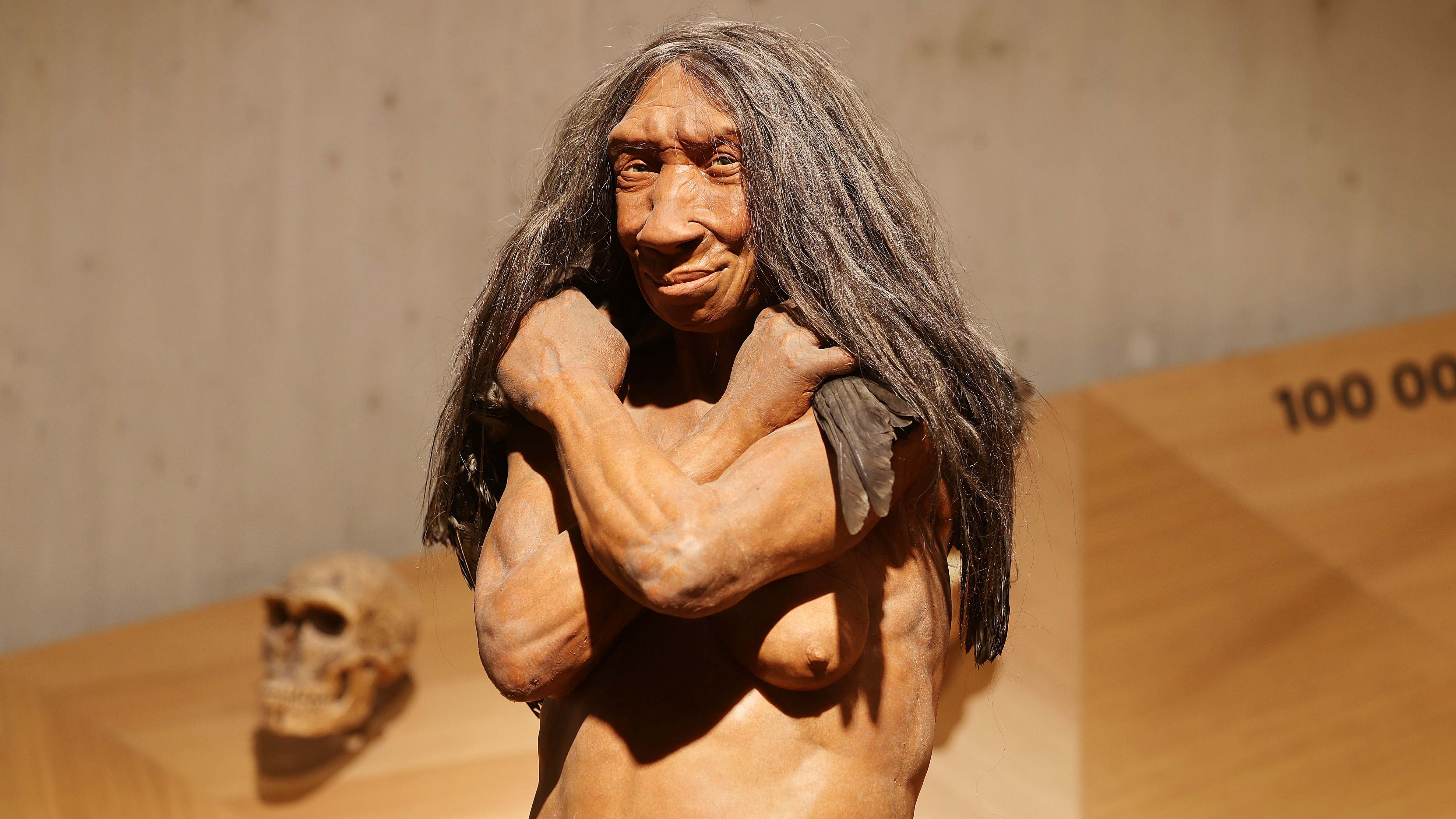 PRODUKTION - 16.08.2022, Nordrhein-Westfalen, Mettmann: Die Nachbildung eines Menschen, Homo Sapiens, steht im Neanderthal Museum in Mettmann. Das Neanderthal Museum in Mettmann bei D&cedil;sseldorf hat es sich zur Aufgabe gemacht, die neuesten Forschungsergebnisse zum Homo neanderthalensis einem gr&circ;ﬂeren Publikum zu vermitteln. (zu dpa "Die liebe Verwandtschaft - Neandertaler in neuem Licht") Foto: Oliver Berg/dpa +++ dpa-Bildfunk +++