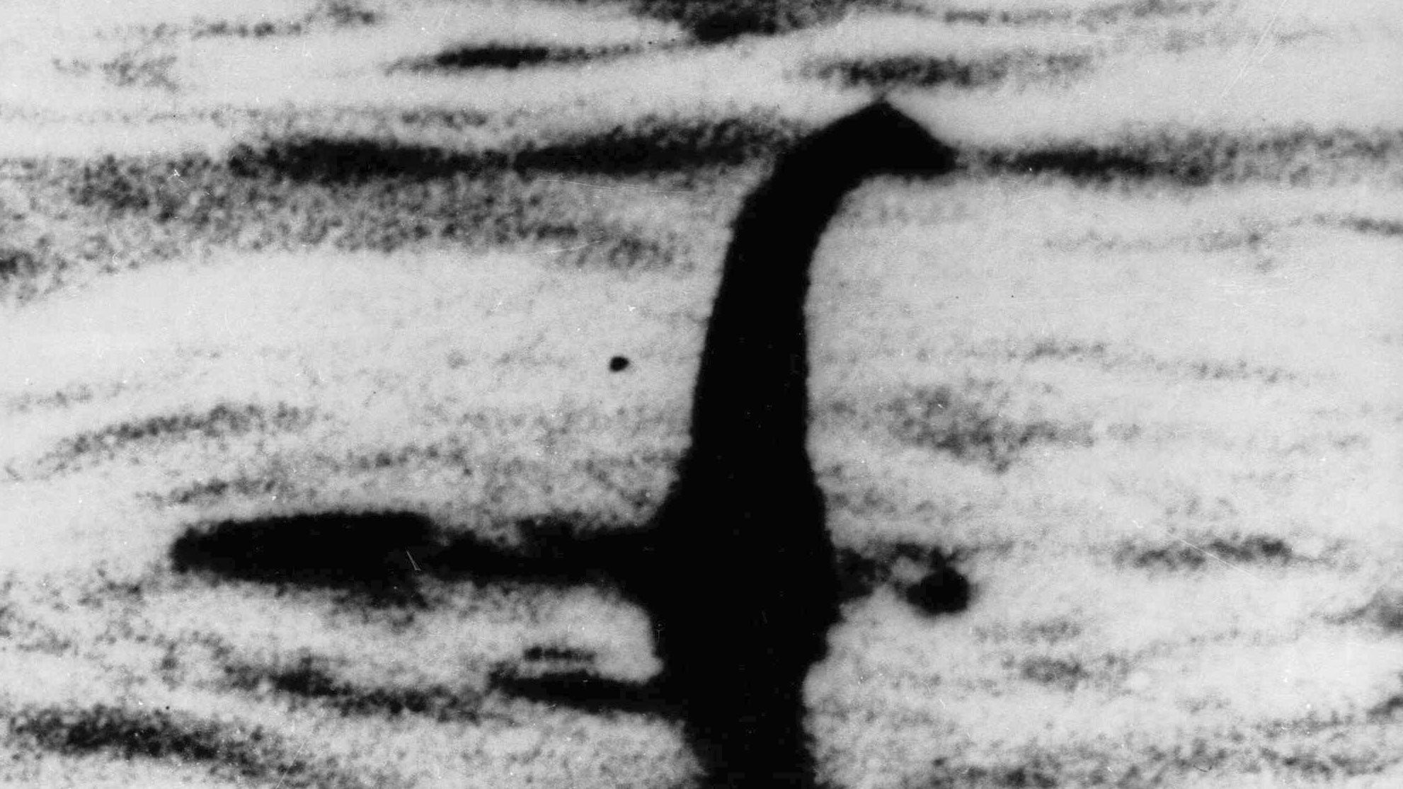 Dieses undatierte Foto soll das "Monster" von Loch Ness zeigen