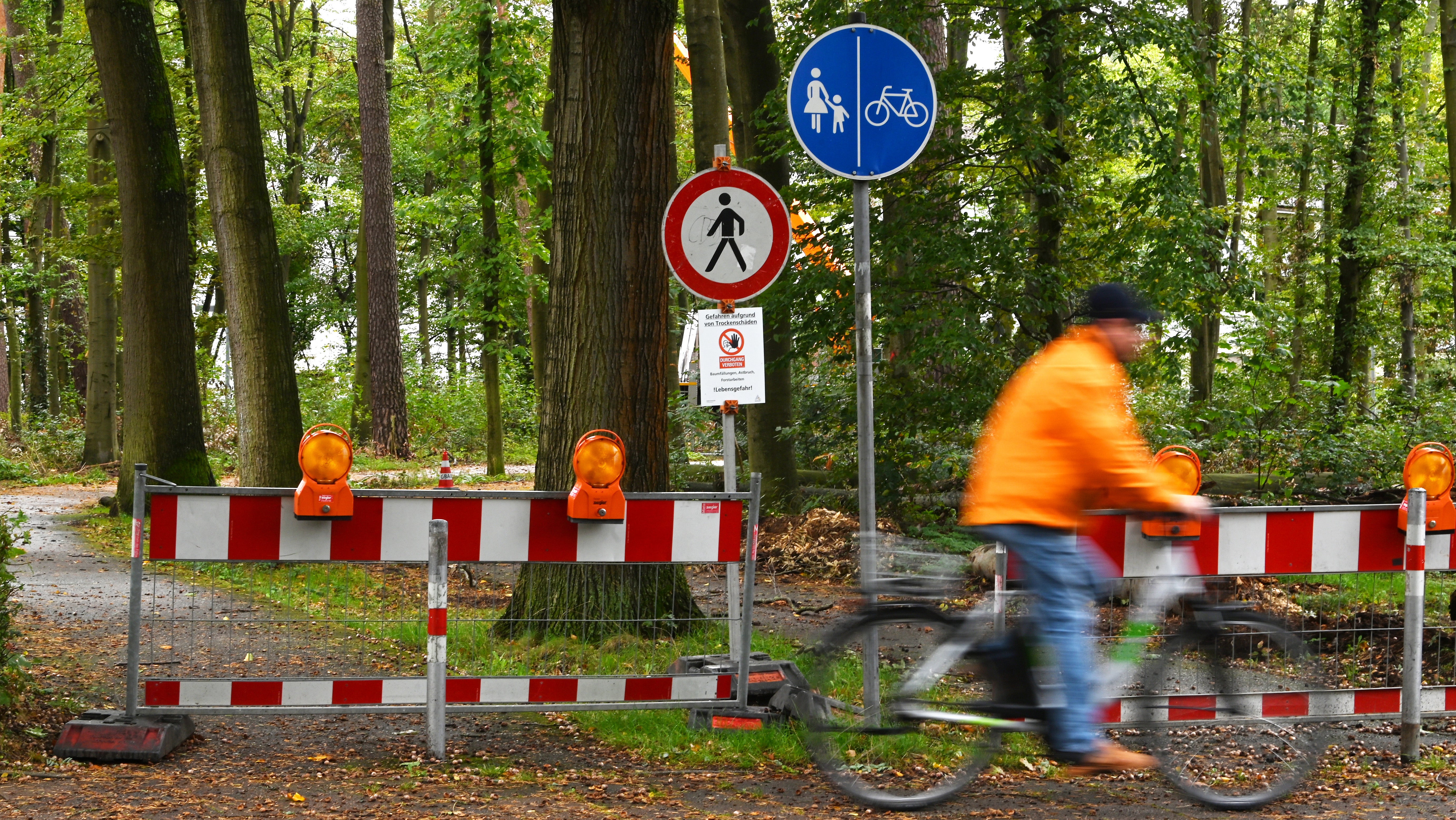 Karlsruhe: Im Stadtteil Waldstadt ist an einem Weg ein Schild mit der Aufschrift &middot;Gefahren aufgrund von Trockensch&auml;den DURCHGANG VERBOTEN Baumf&auml;llungen, Astbruch, Forstarbeiten ! Lebensgefahr!" zu sehen.