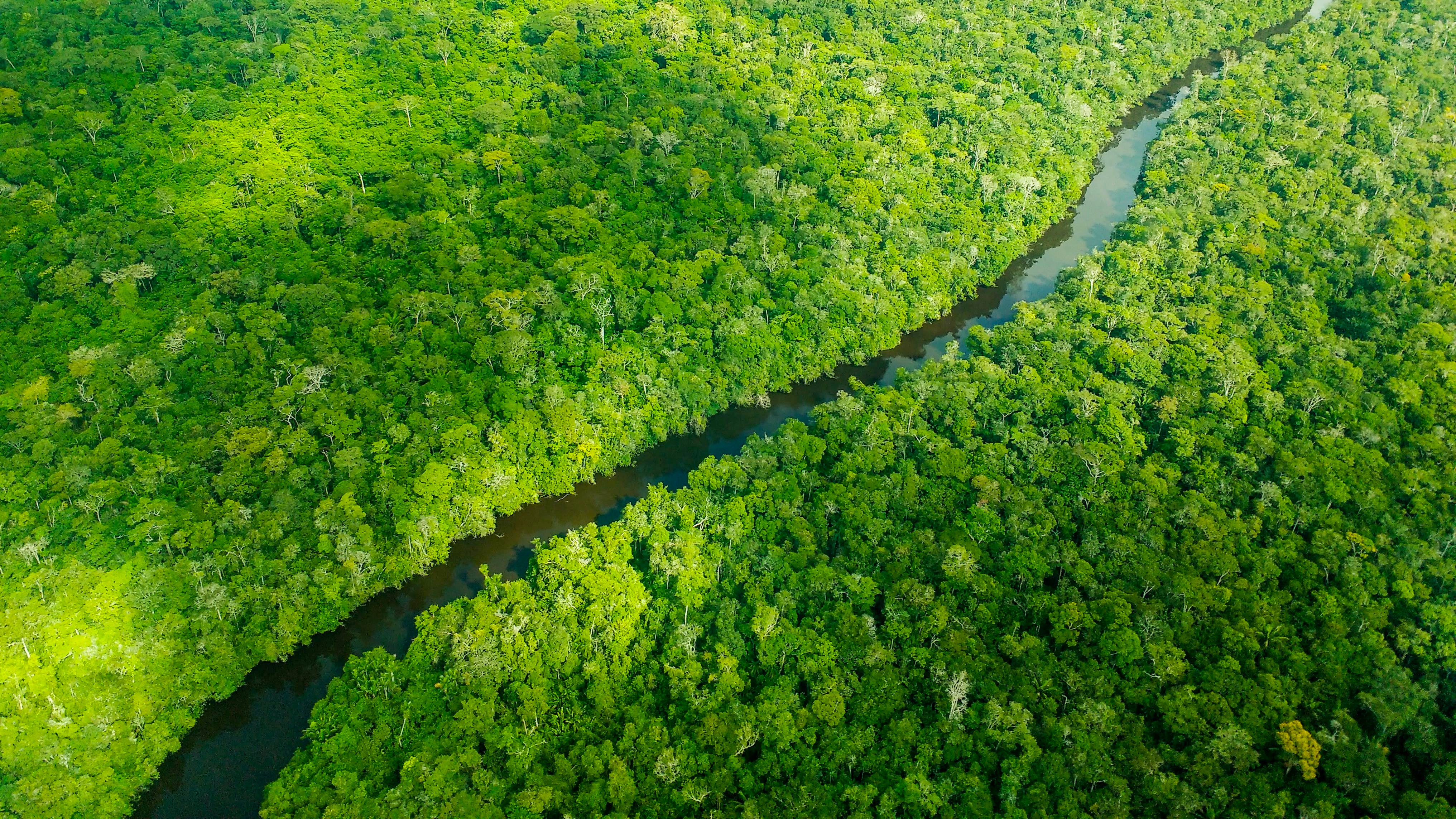 ACHTUNG: SPERRFRIST 25. APRIL 20:00 UHR. ACHTUNG: DIESER BEITRAG DARF NICHT VOR DER SPERRFRIST, 25. APRIL 20.00 UHR, VER&divide;FFENTLICHT WERDEN! EIN BRUCH DES EMBARGOS K&divide;NNTE DIE BERICHTERSTATTUNG &lsaquo;BER STUDIEN EMPFINDLICH EINSCHR&fnof;NKEN. - HANDOUT - 26.05.2016, Brasilien, ---: Luftaufnahme des Regenwaldes am Amazonas in Brasilien. Hunderte Wissenschaftler und Ureinwohner haben die EU dazu aufgerufen, bei den Verhandlungen &cedil;ber ein Freihandelsabkommen mit Brasilien auf den Schutz der Umwelt und die Einhaltung der Menschenrechte zu bestehen. Foto: Larissa Rodrigues/AAAS/dpa - ACHTUNG: Nur zur redaktionellen Verwendung im Zusammenhang mit der Berichterstattung. Das Foto darf nicht ver&permil;ndert und nur im vollen Ausschnitt verwendet werden. Keine Archivierung. Nur mit vollst&permil;ndiger Nennung des vorstehenden Credits +++ dpa-Bildfunk +++