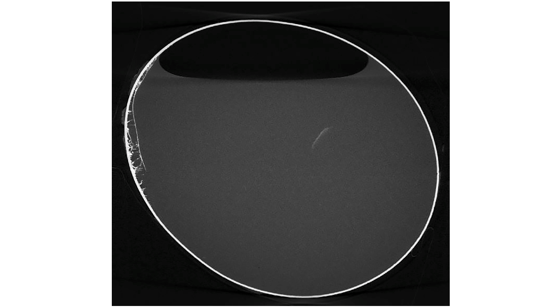 Eine Computertomographie zeigt das Innere eines Eis aus r&ouml;mischer Zeit. Experten gehen davon aus, dass es sich um Eiwei&szlig; und Dotter handelt, die sich zu einer einzigen Fl&uuml;ssigkeit verbunden haben. (Foto: Chris Dunmore/Imaging Centre for Life Sciences, University of Kent/dpa)

