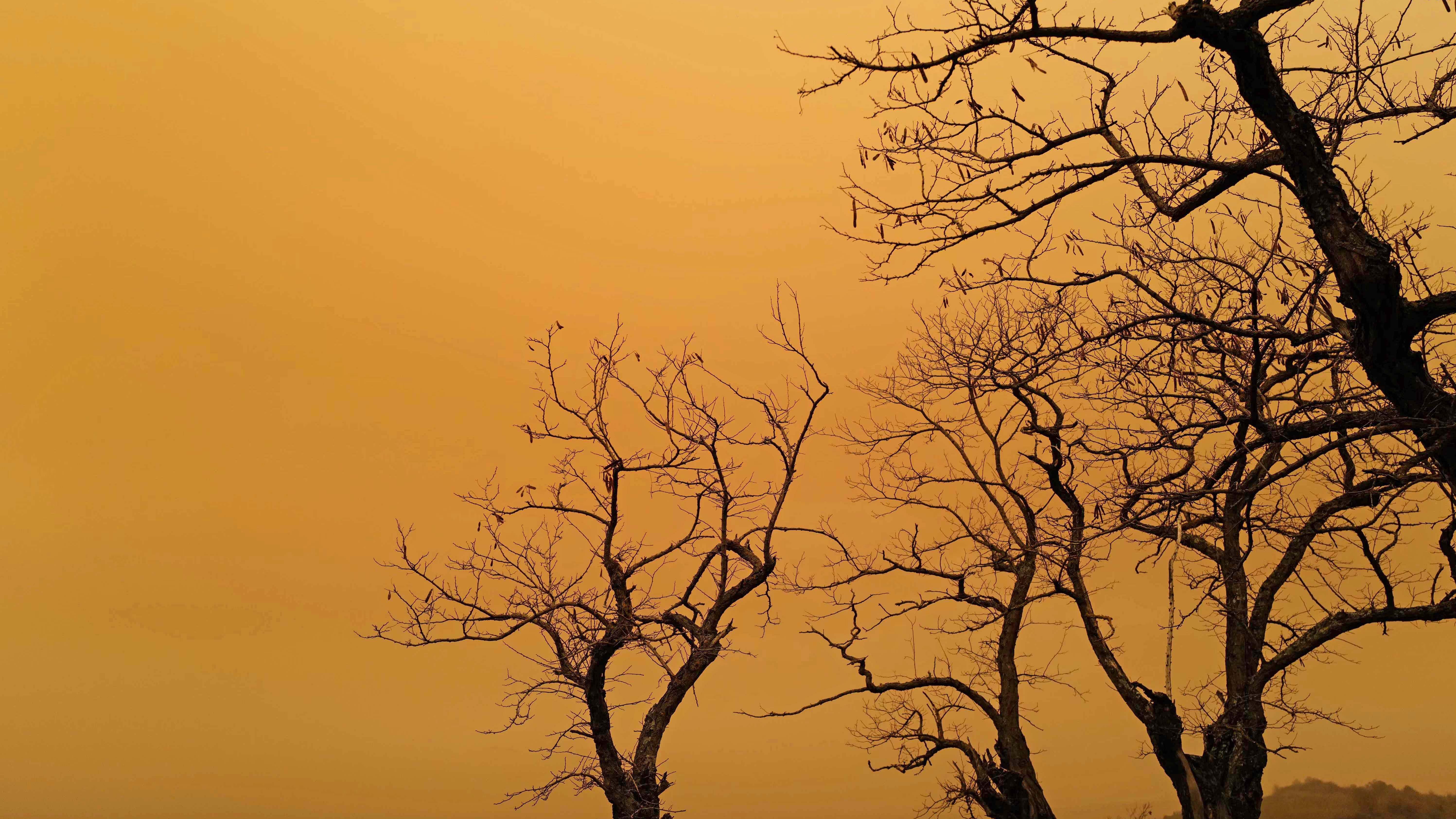 06.02.2021, Frankreich, Orschwihr: Der Himmel ist aufgrund eines Schirokko-Stroms orange eingef&permil;rbt. Ein Wind aus dem S&cedil;den habe Sand aus der Sahara nach Frankreich getragen, kl&permil;rte die Pr&permil;fektur der der Region Auvergne Rh&Ugrave;ne Alpes &cedil;ber das Wetterph&permil;nomen auf. Foto: Sebastien Bozon/AFP/dpa +++ dpa-Bildfunk +++