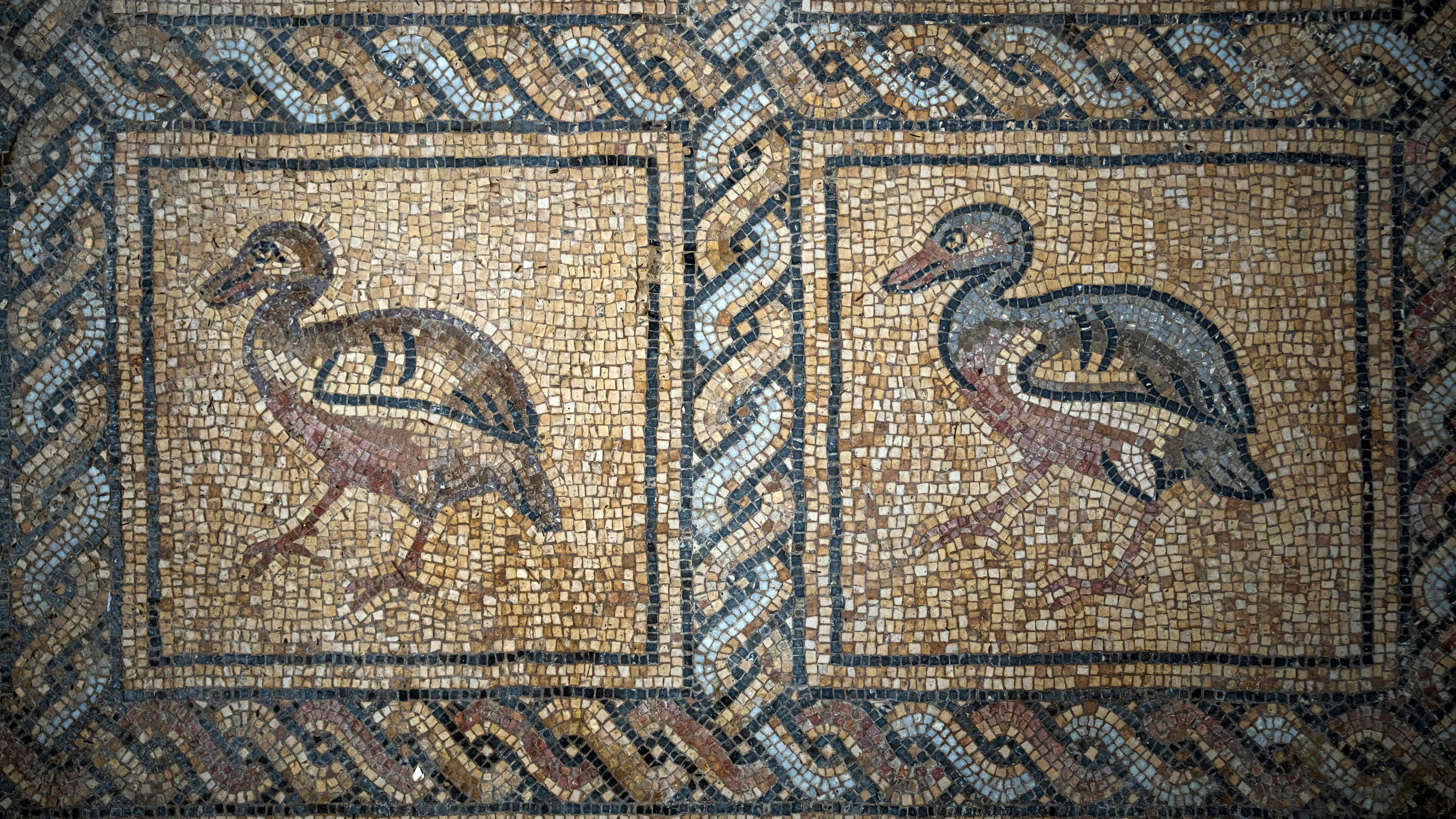 Zwei V&ouml;gel sind auf dem gut erhaltenen Mosaik deutlich erkennbar