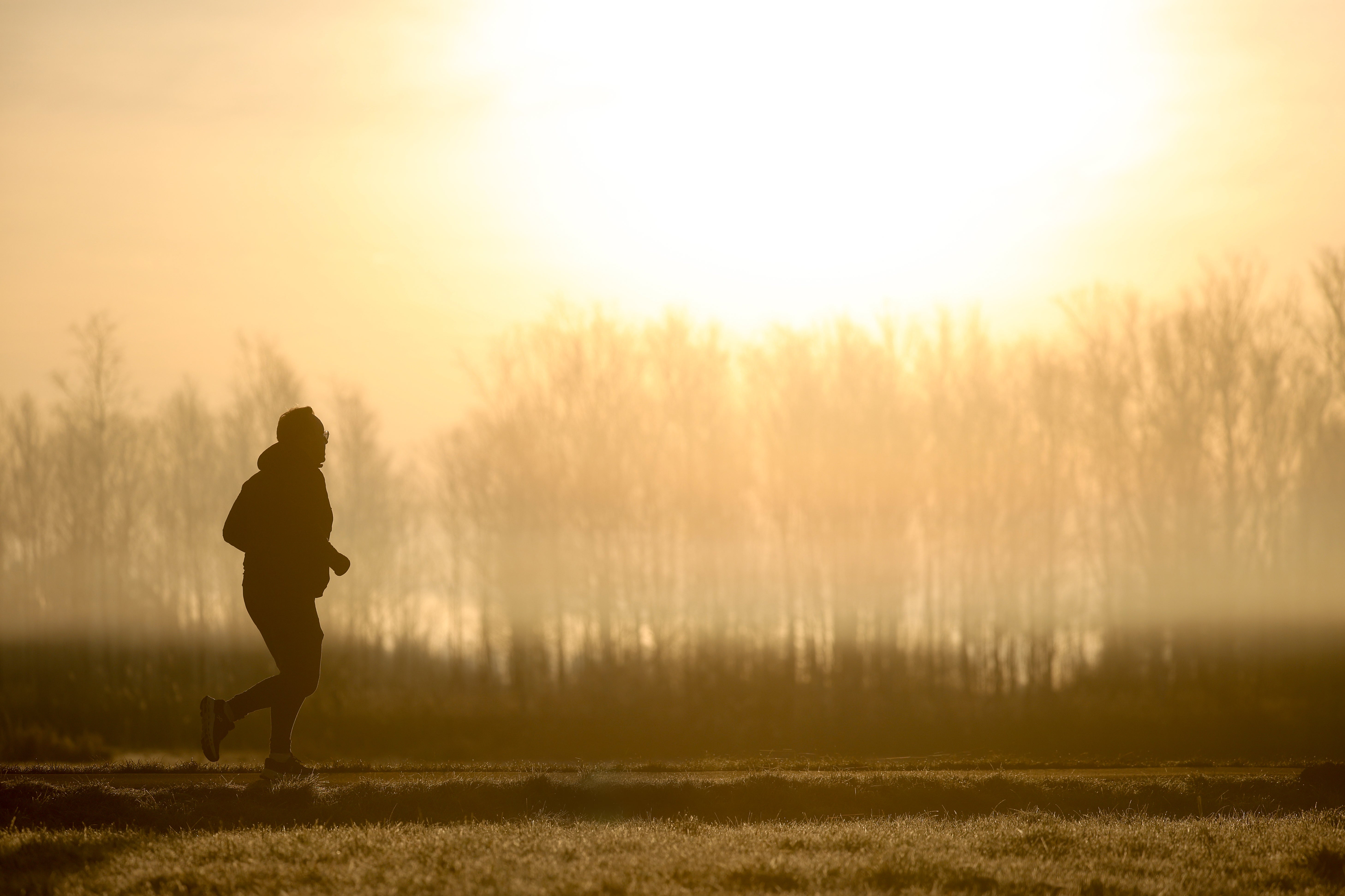 21.03.2025, Baden-W&uuml;rttemberg, Moosburg: Ein Jogger ist am Morgen im Gegenlicht der Sonne unterwegs, w&auml;hrend sich der Himmel durch Saharastaub gelb verf&auml;rbt hat. (Thomas Warnack/dpa)