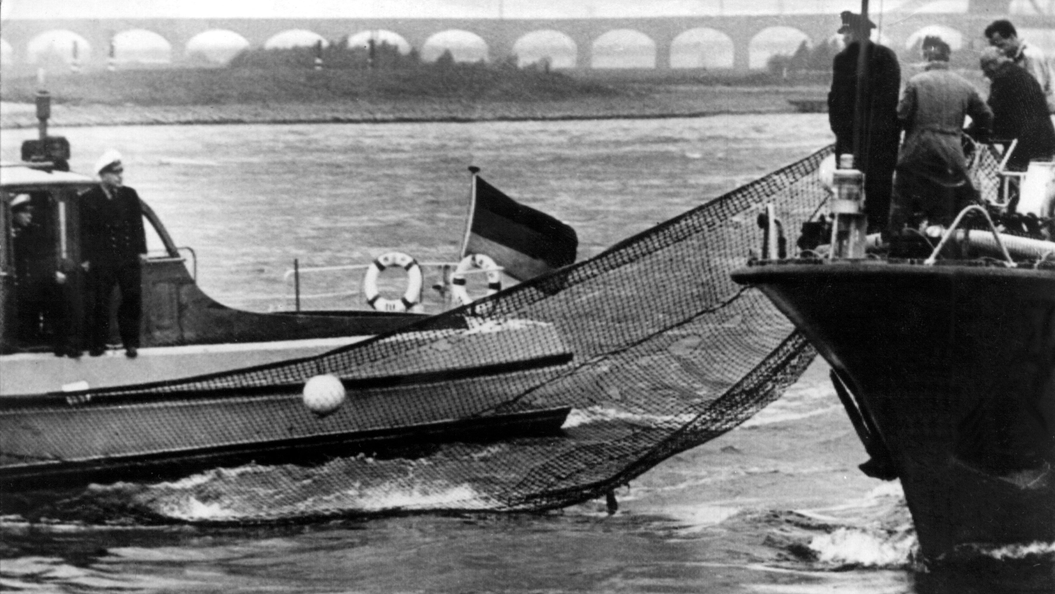 17.05.1966, Nordrhein-Westfalen, Duisburg: Die Wasserpolizei bei dem vergeblichen Versuch, den Wal mit einem Netz einzufangen. (dpa)