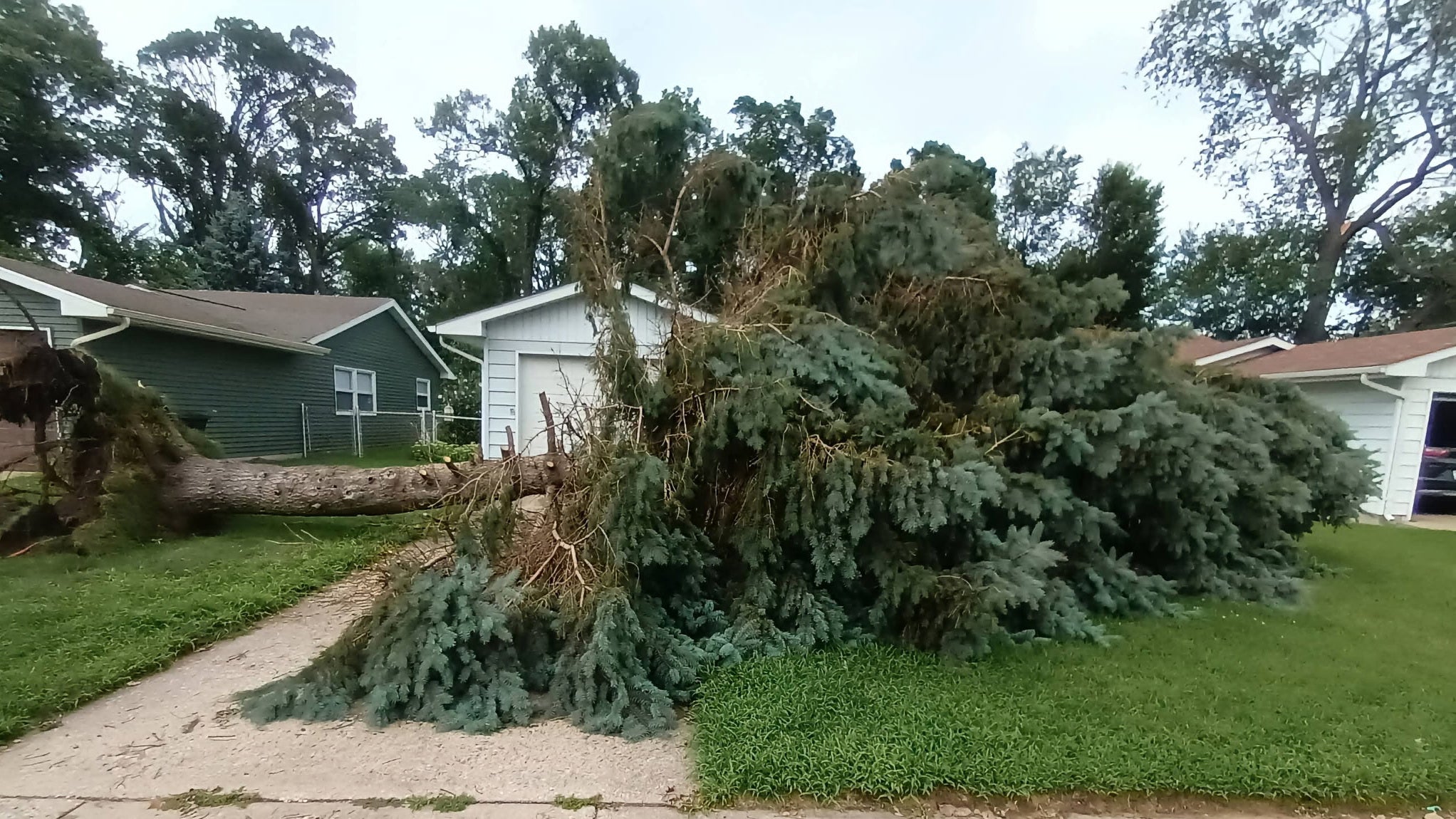 18. August 2026: Ein umgest&uuml;rzter Baum liegt vor einem Haus in Portage, Indiana. (Jeremy Spurrier via AP)