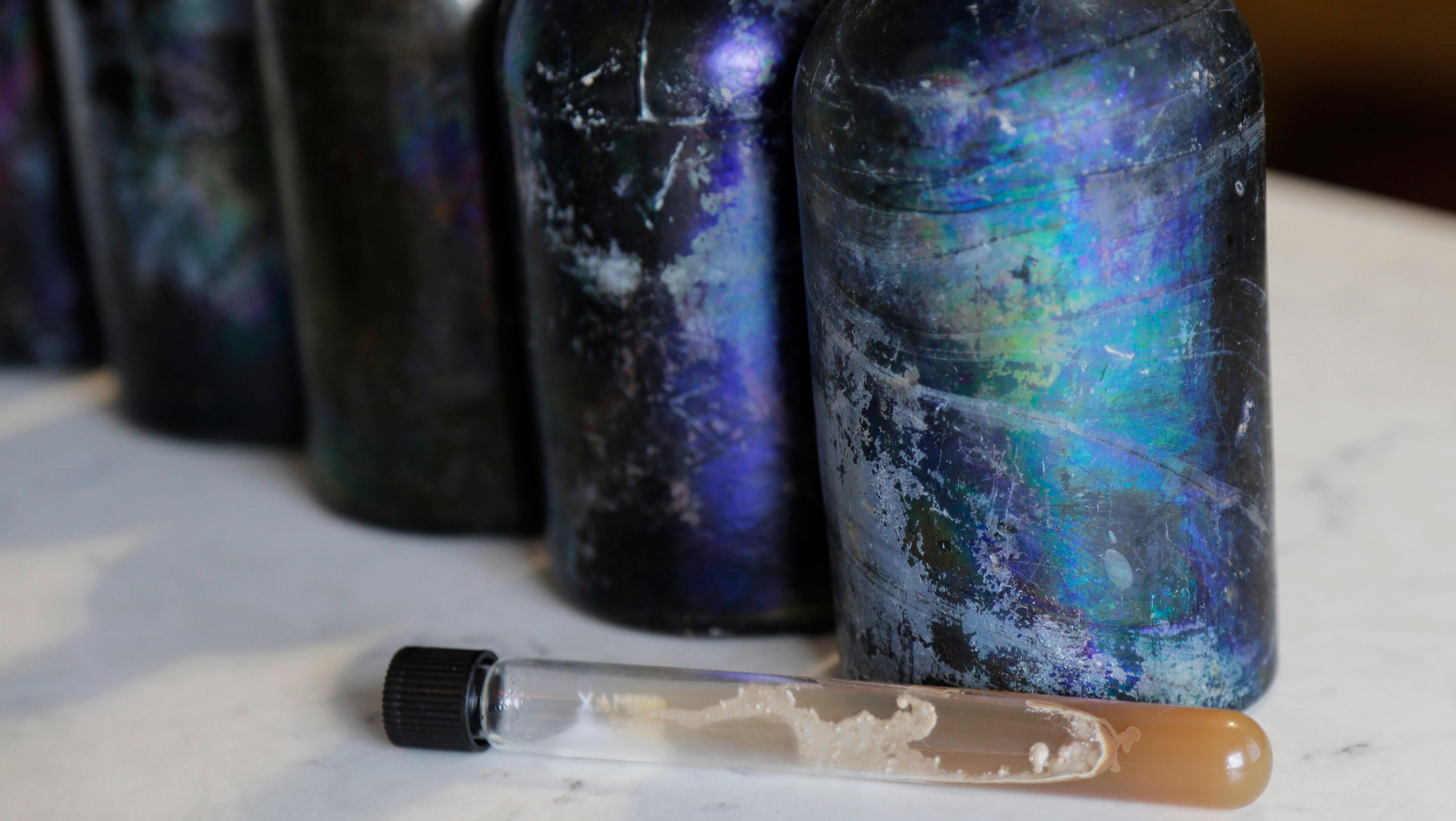 Ein Foto zeigt Bier-Flaschen, die aus dem Wrack der SS Oregon geborgen wurden, sowie extrahierte Hefe in einem Reagenzglas