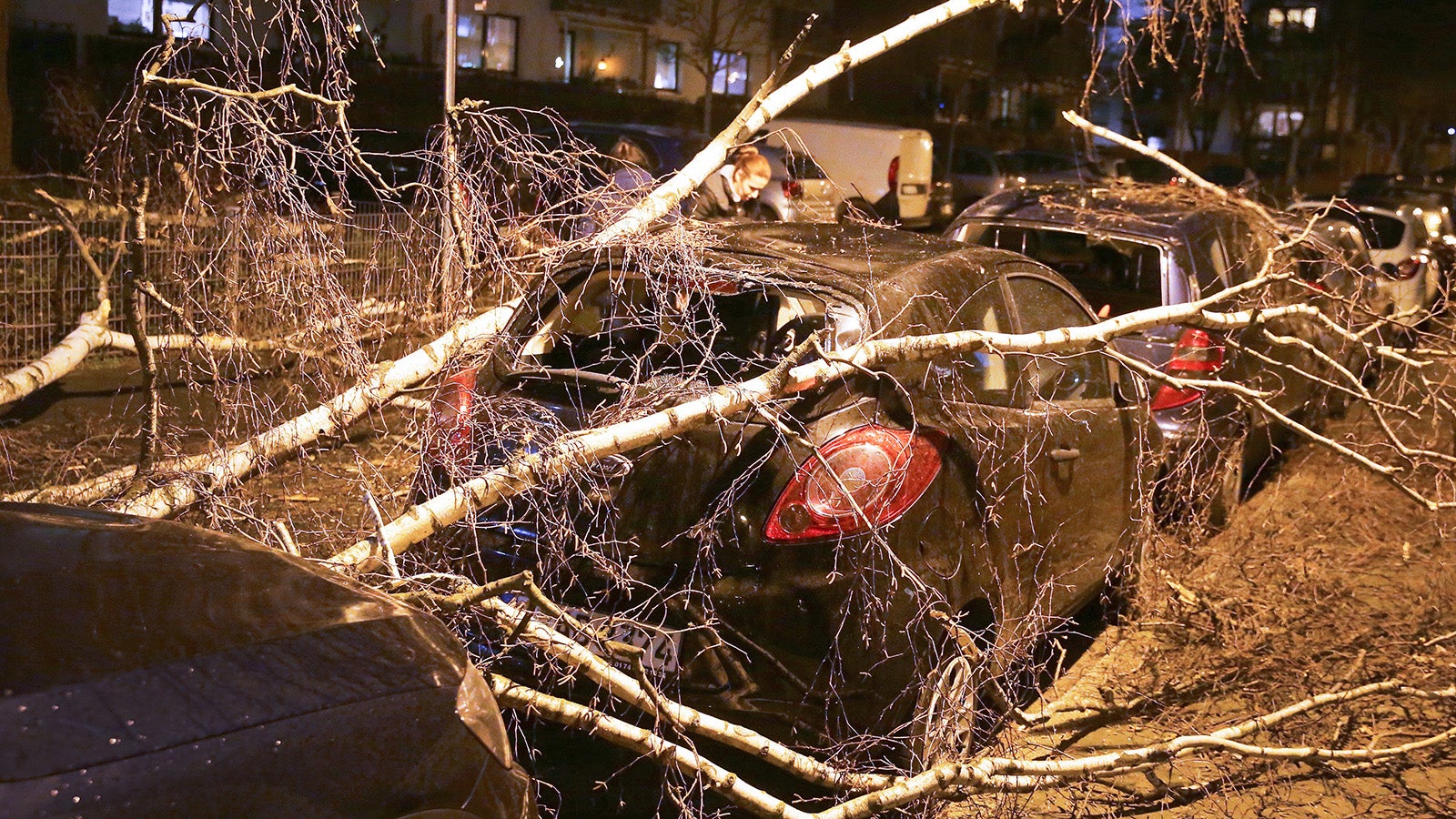 09.02.2020, Nordrhein-Westfalen, D&uuml;sseldorf: Ein geparktes Auto ist von einem umgest&uuml;rzten Baum bedeckt. Das Sturmtief &laquo;Sabine&raquo; zieht am Sonntagabend &uuml;ber Nordrhein-Westfalen hinweg. Foto: David Young/dpa +++ dpa-Bildfunk +++