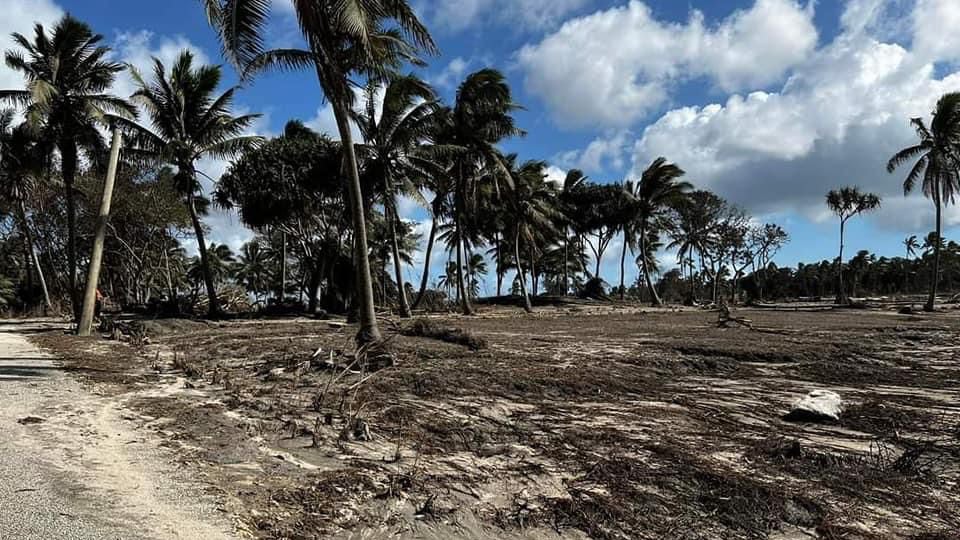 20.01.2022, Tonga, Nuku'alofa: Das Konsulat des K&ouml;nigreichs Tonga hat dieses Foto der von Asche bedeckten Landschaft ver&ouml;ffentlicht. Die Vereinten Nationen (UN) gehen davon aus, dass die von dem Vulkanausbruch in Tonga betroffenen Menschen kurz- und langfristig Lebensmittelhilfe ben&ouml;tigen. &laquo;Schon vor dem Vulkanausbruch war die Lebensmittelversorgung von 20 Prozent der Bev&ouml;lkerung nicht gesichert&raquo;, sagte ein Sprecher des Weltern&auml;hrungsprogramms (WFP) am Freitag in Genf. Nun seien durch den Tsunami und den vulkanischen Ascheregen viele Ackerfl&auml;chen, der Viehbestand und die Fischerei stark in Mitleidenschaft gezogen. Foto: Consulate Of The Kingdom Of Tong/ZUMA Press Wire/dpa +++ dpa-Bildfunk +++
